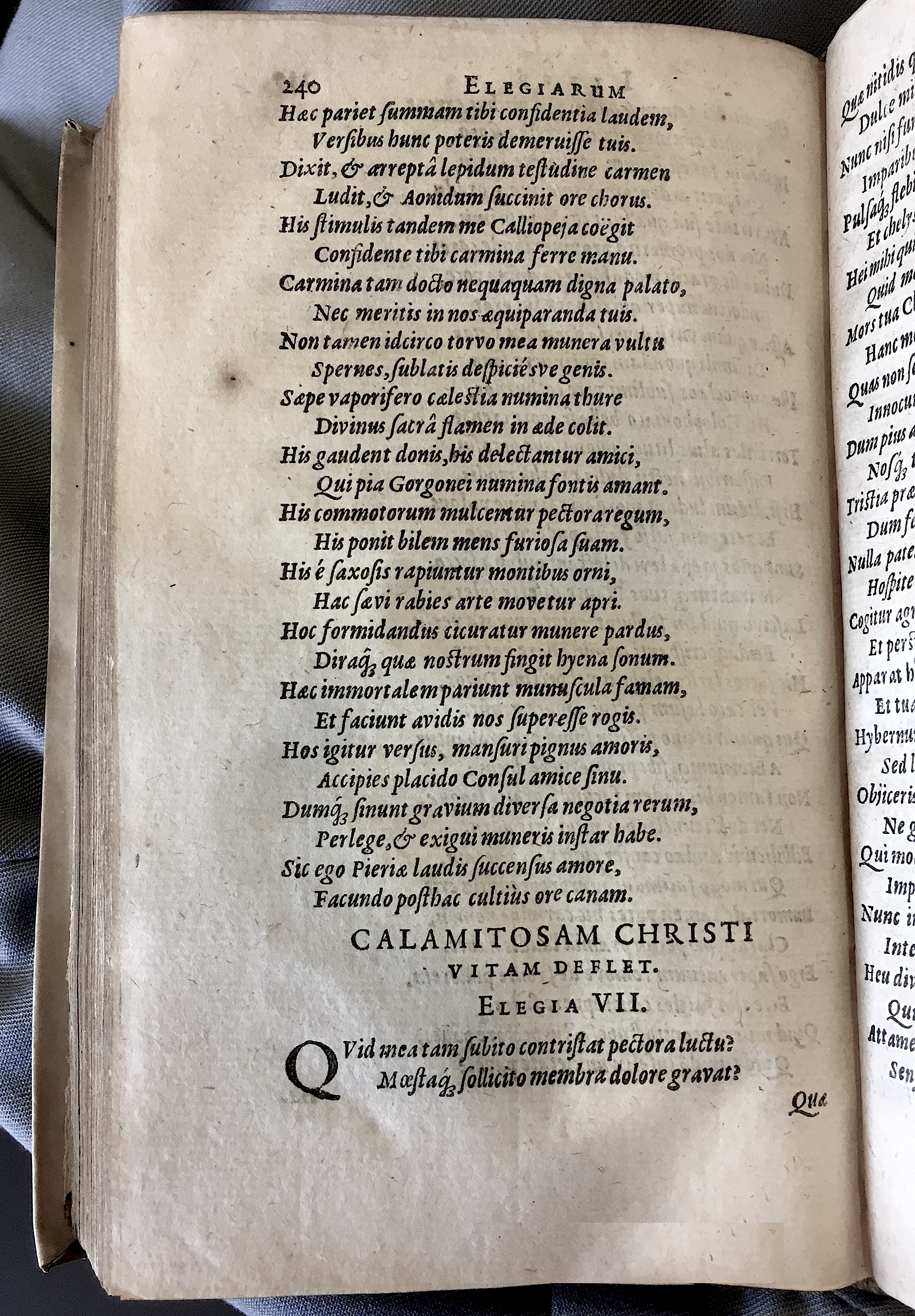 Schonaeus7Poemata1599p240.jpg