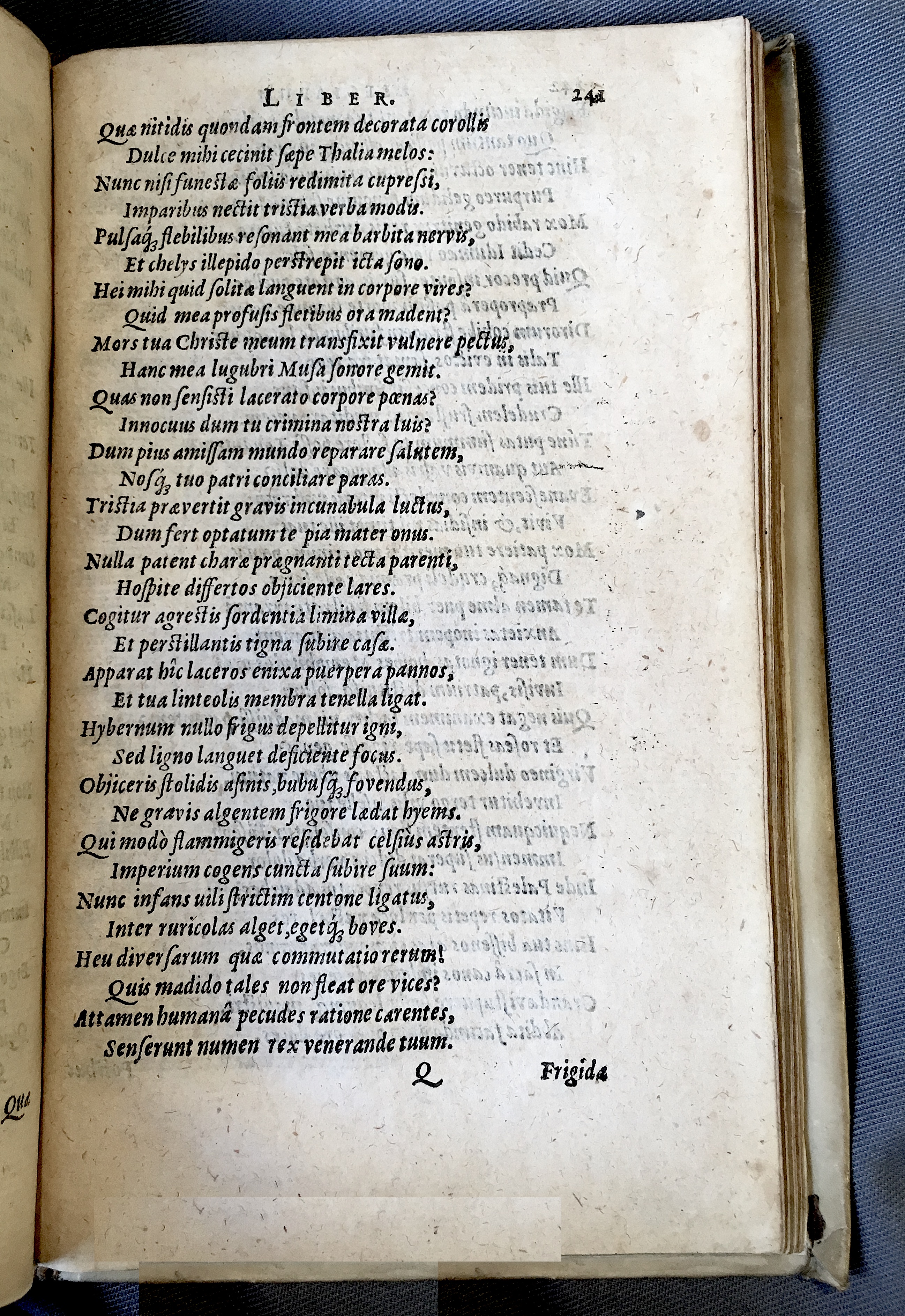 Schonaeus7Poemata1599p241.jpg