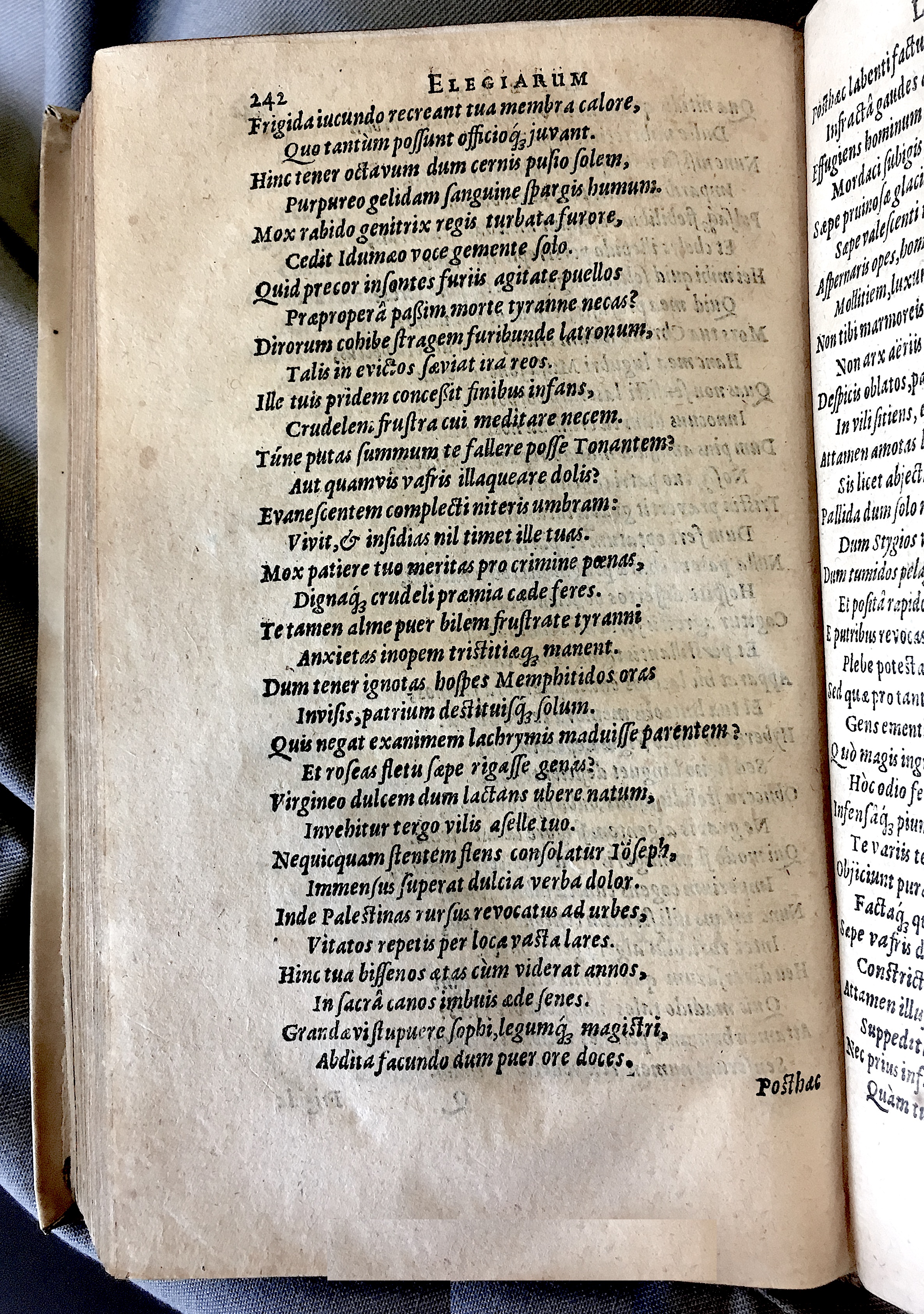 Schonaeus7Poemata1599p242.jpg