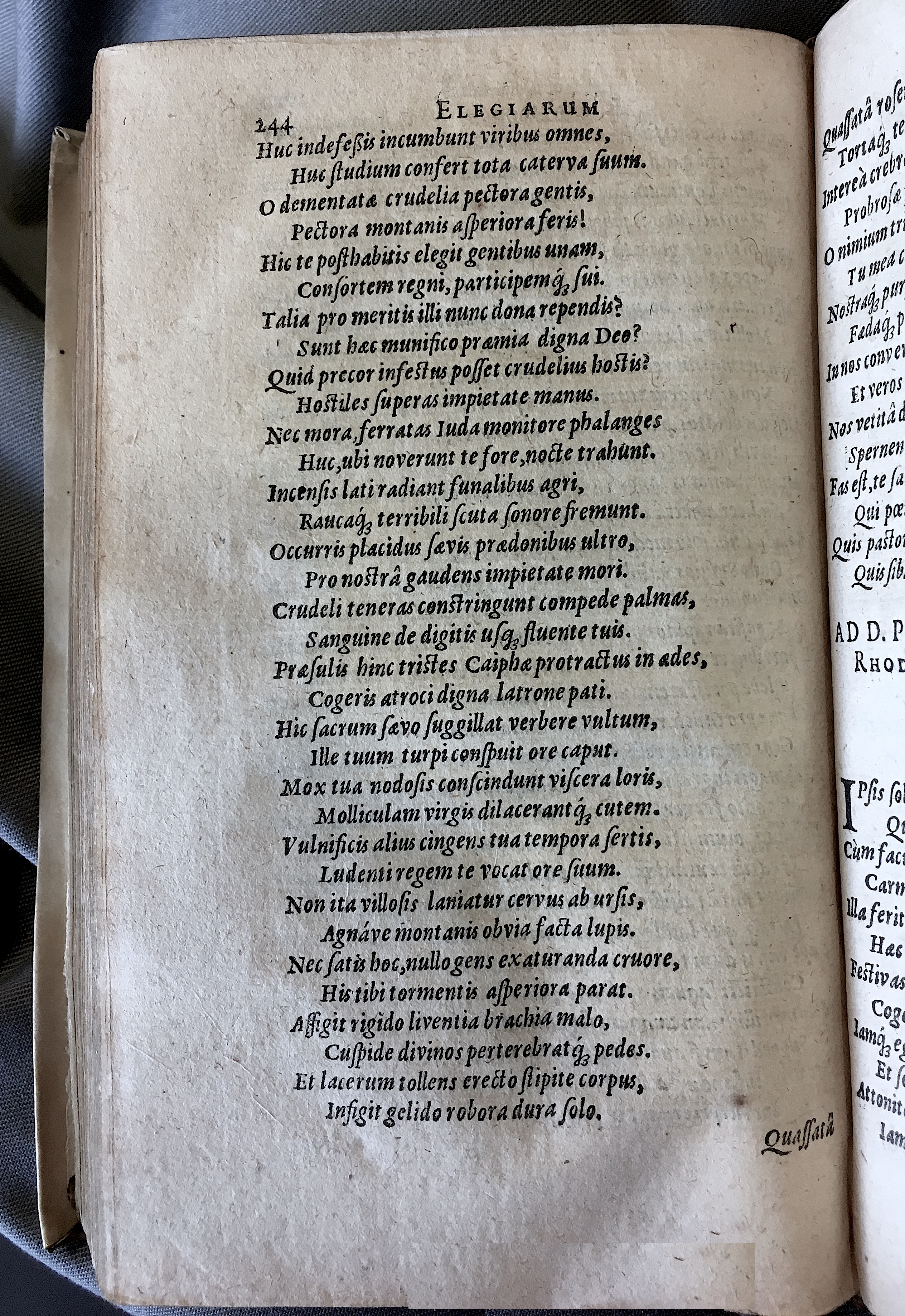 Schonaeus7Poemata1599p244.jpg