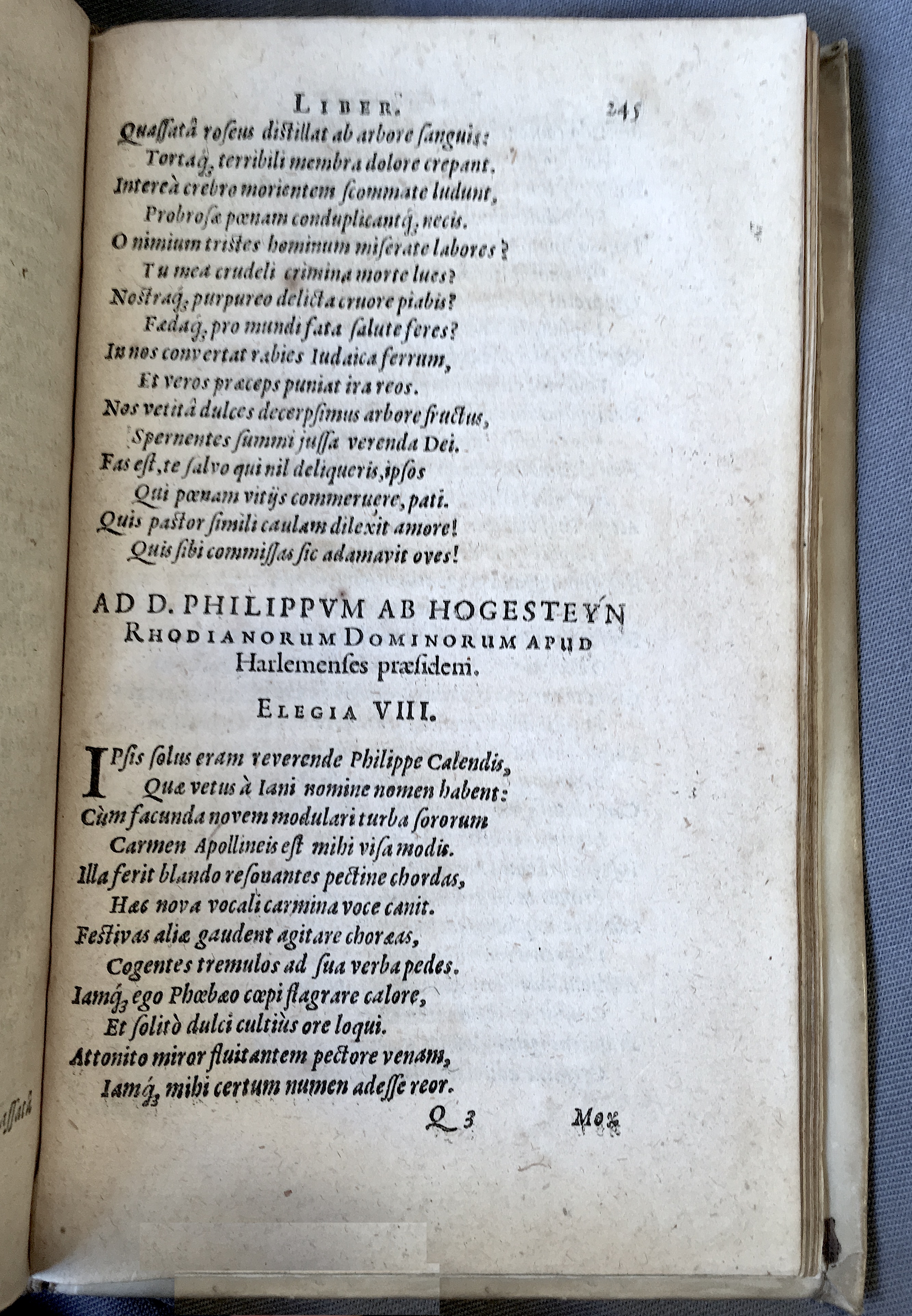 Schonaeus7Poemata1599p245.jpg