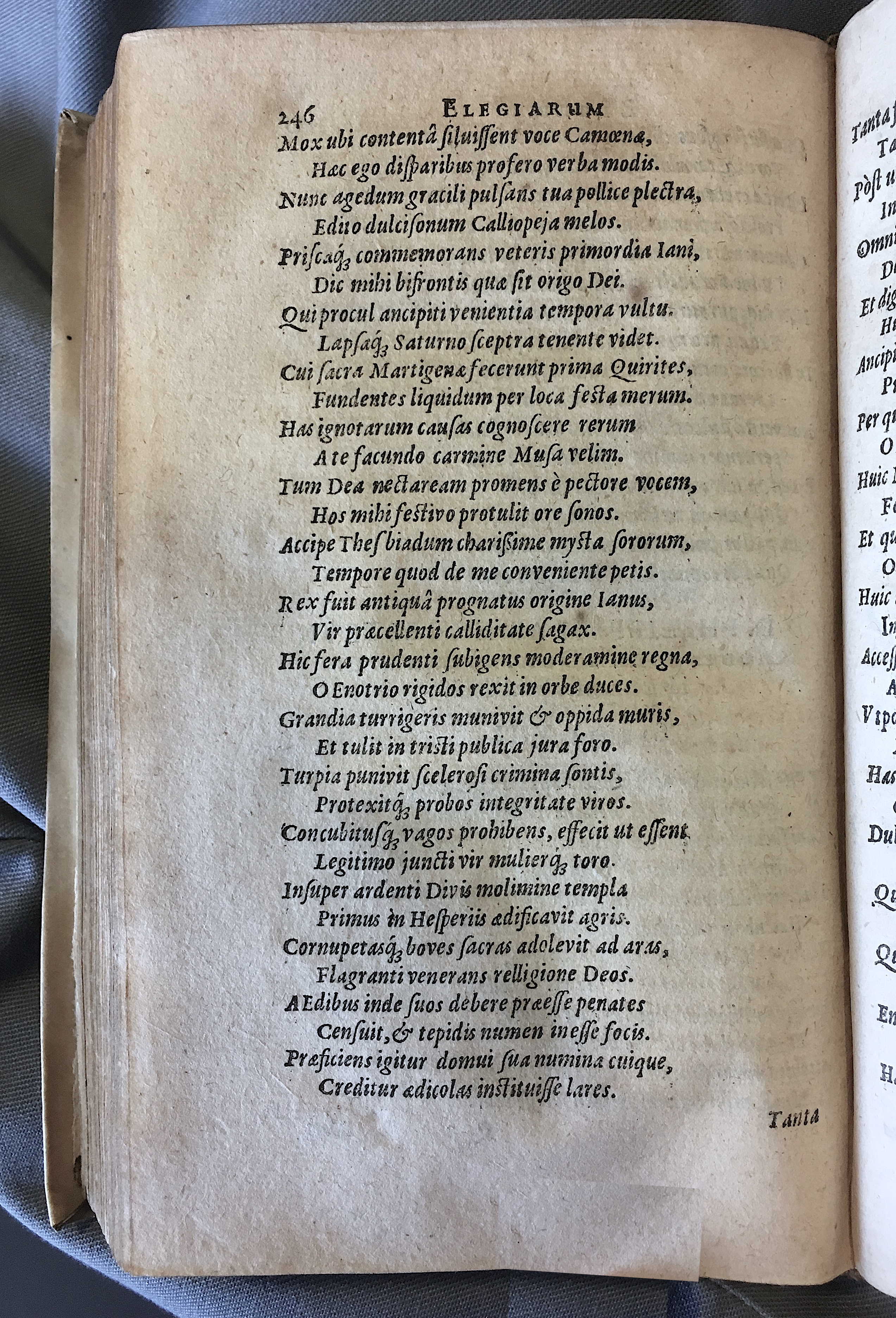 Schonaeus7Poemata1599p246.jpg