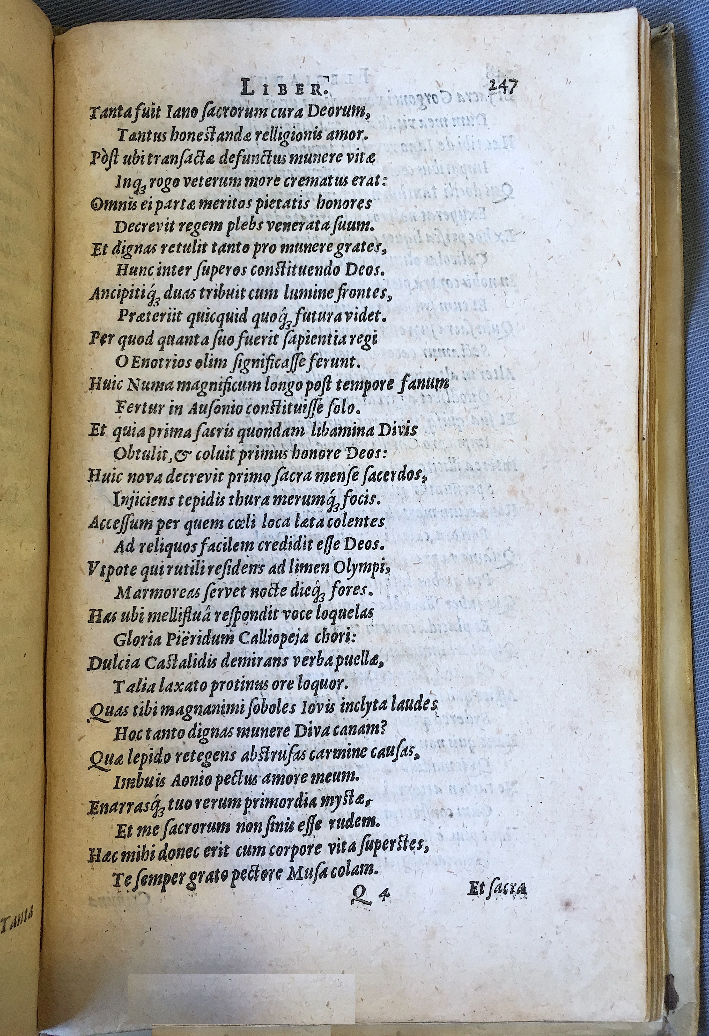 Schonaeus7Poemata1599p247.jpg