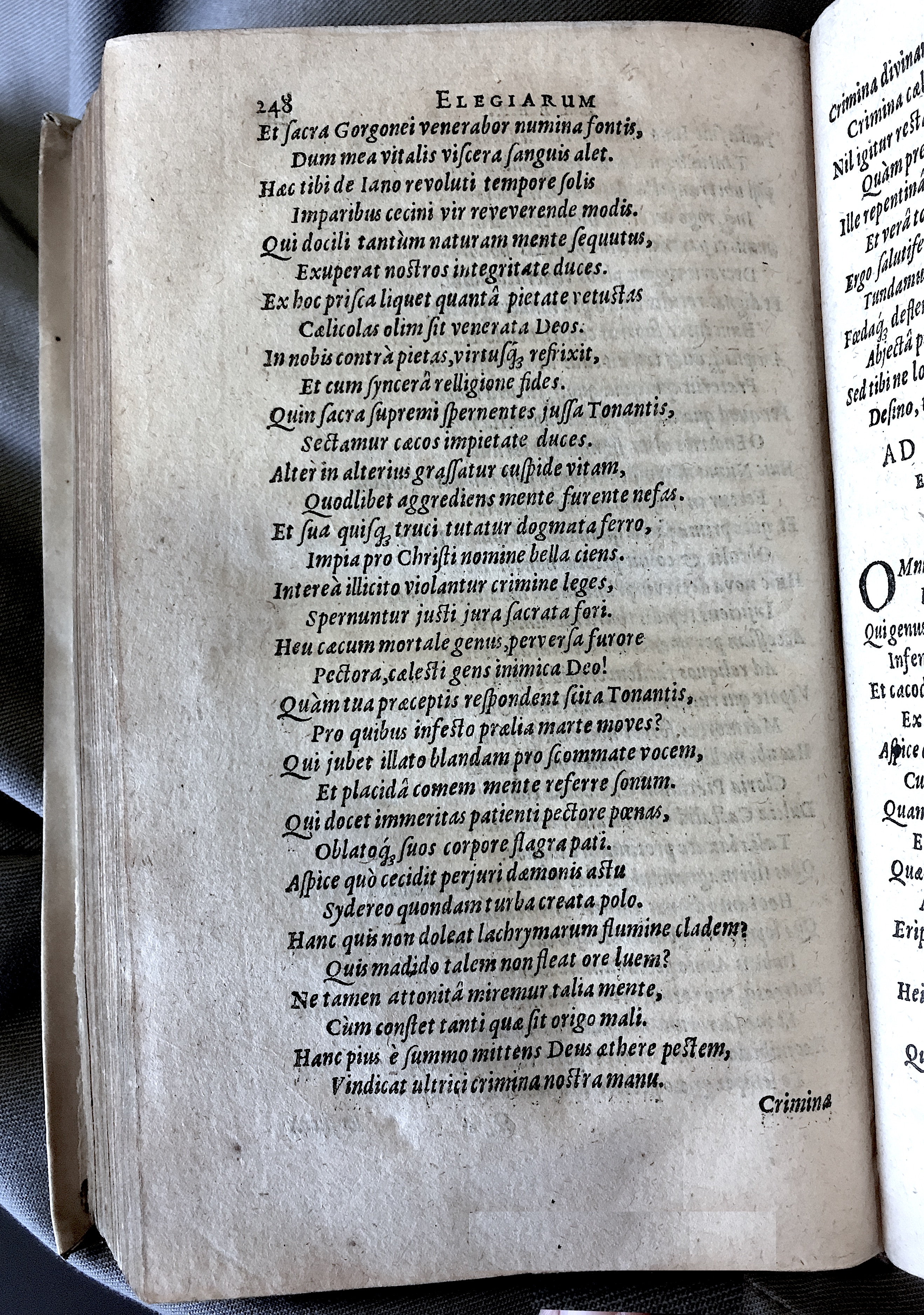 Schonaeus7Poemata1599p248.jpg