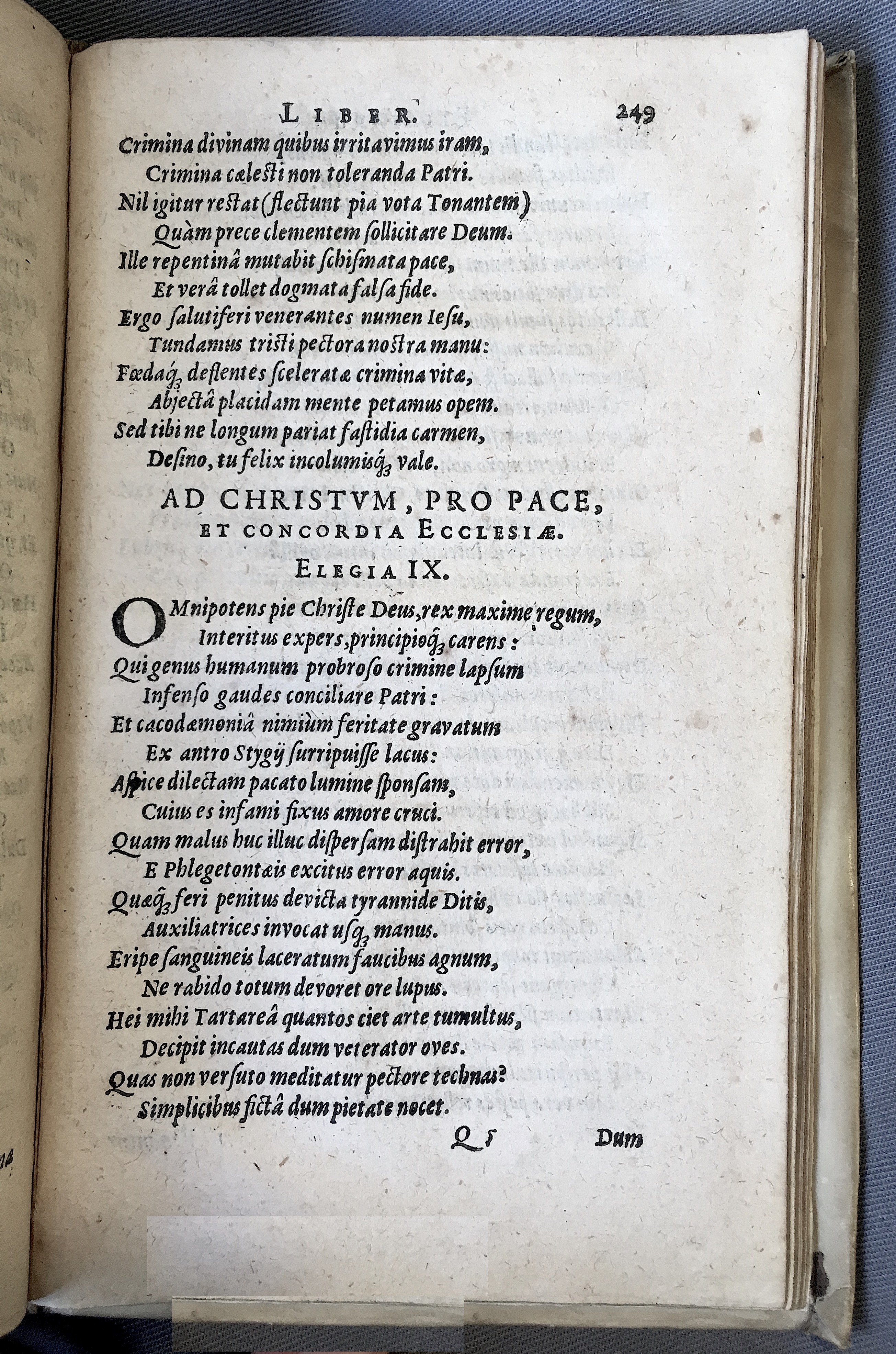 Schonaeus7Poemata1599p249.jpg