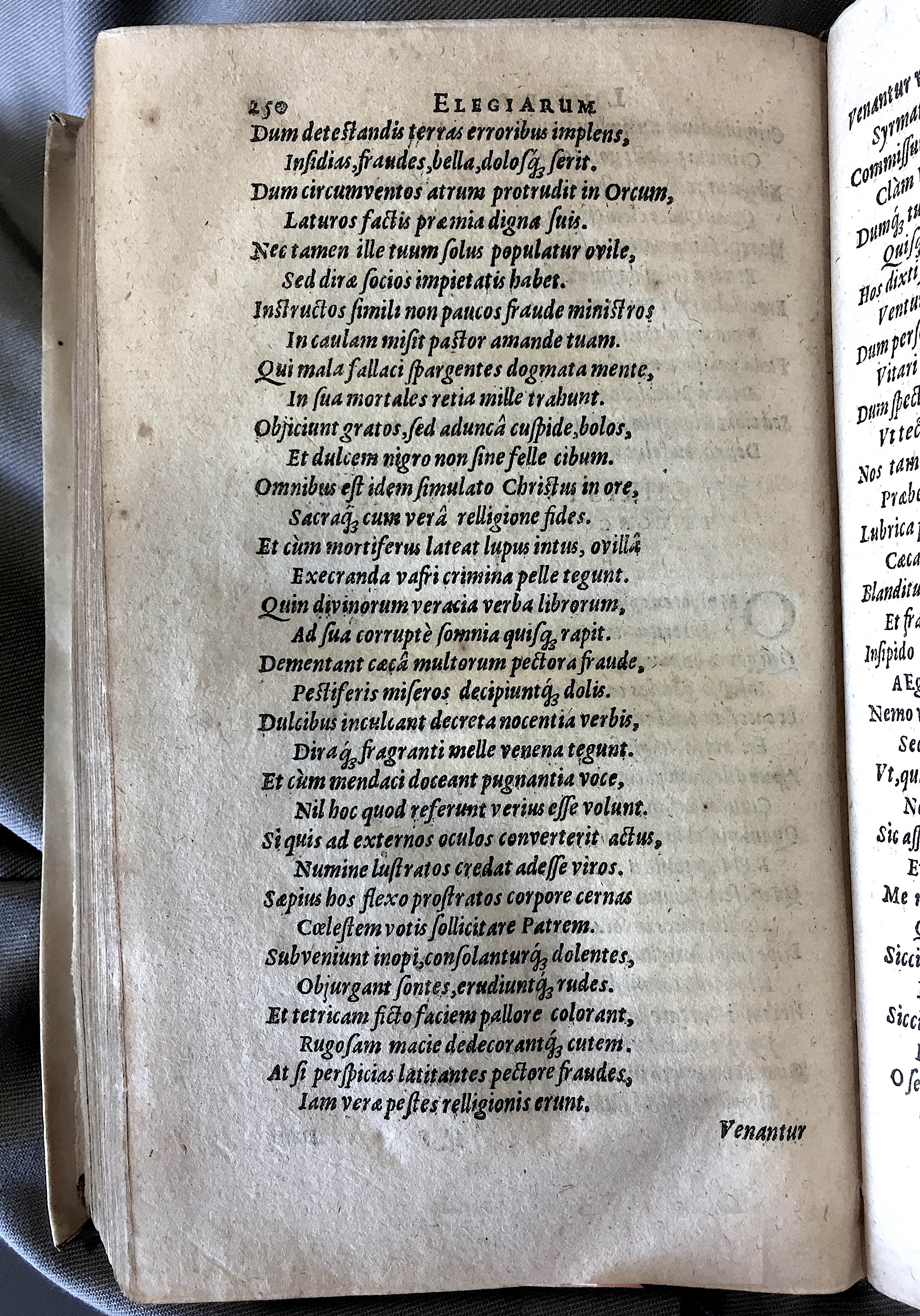 Schonaeus7Poemata1599p250.jpg