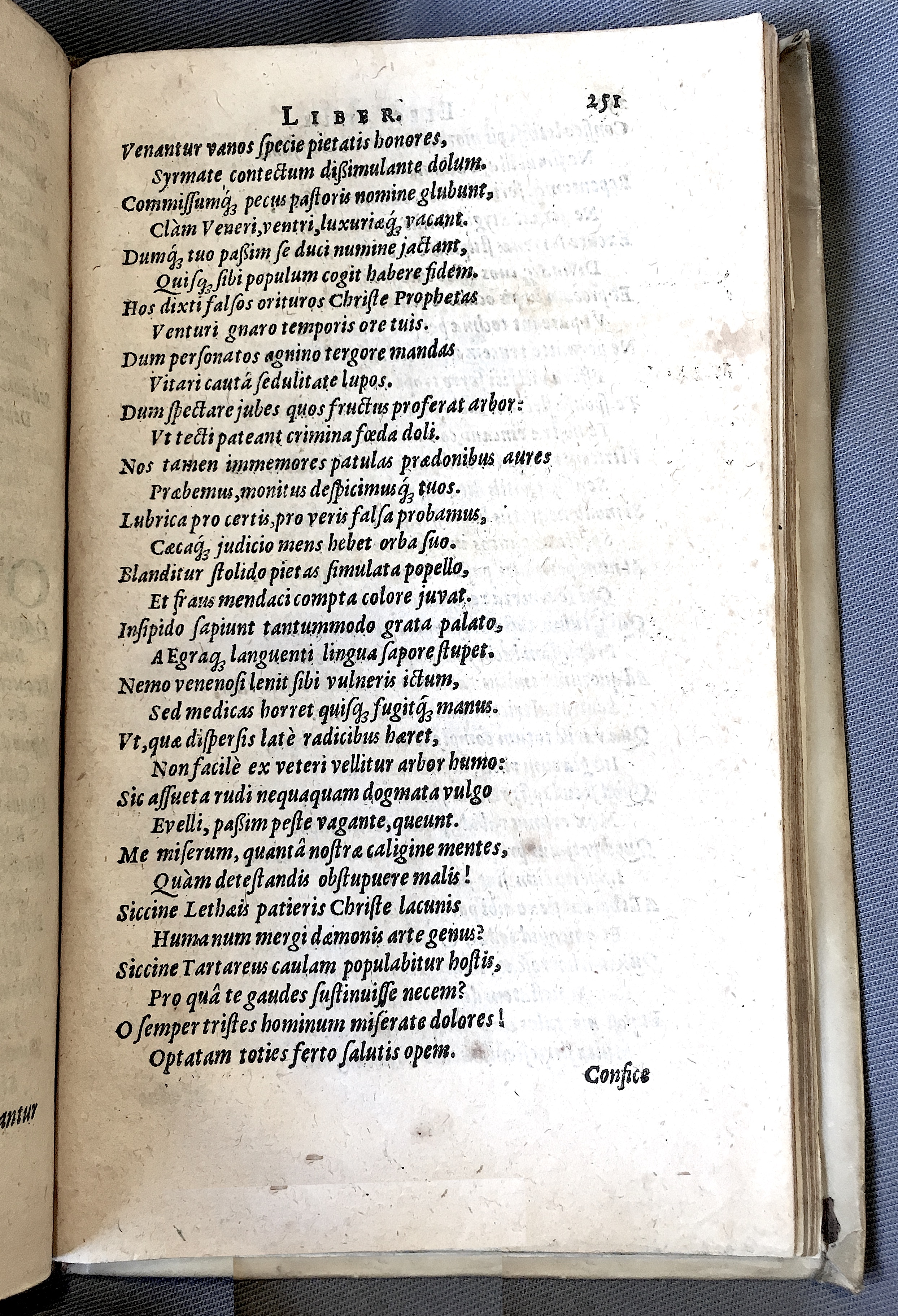 Schonaeus7Poemata1599p251.jpg