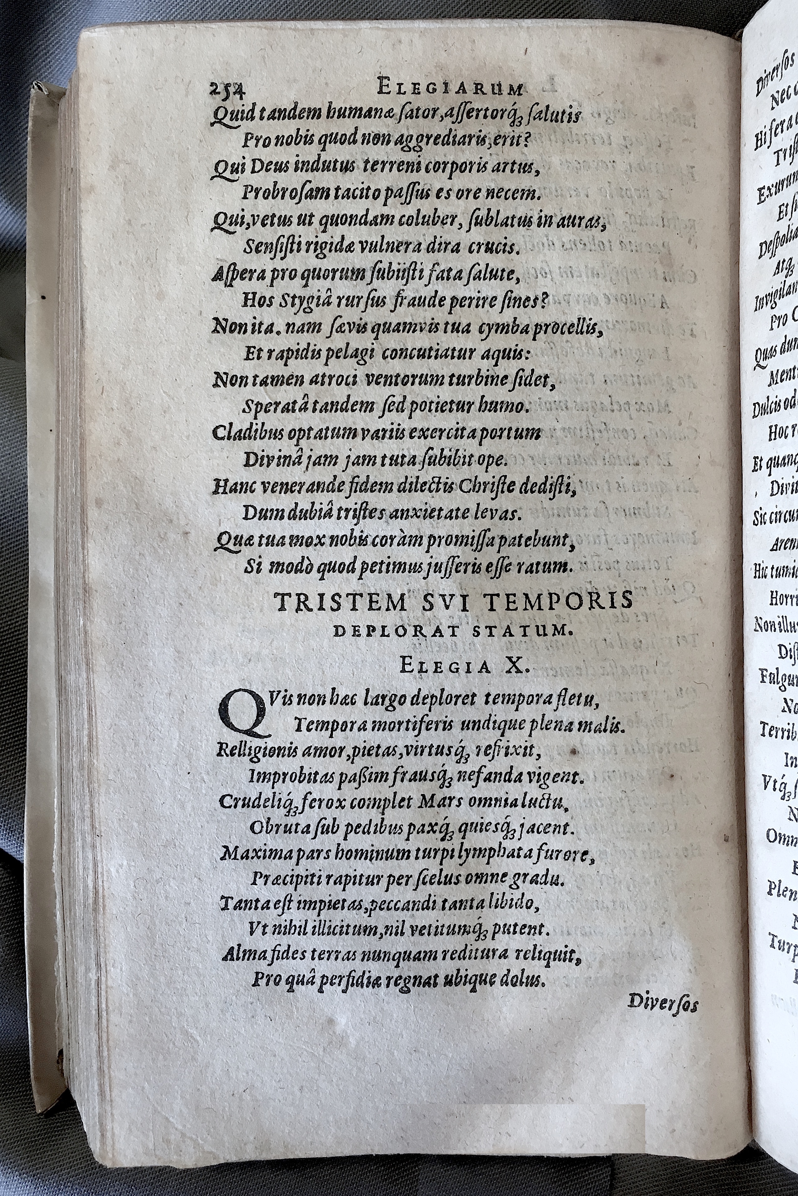 Schonaeus7Poemata1599p253b.jpg