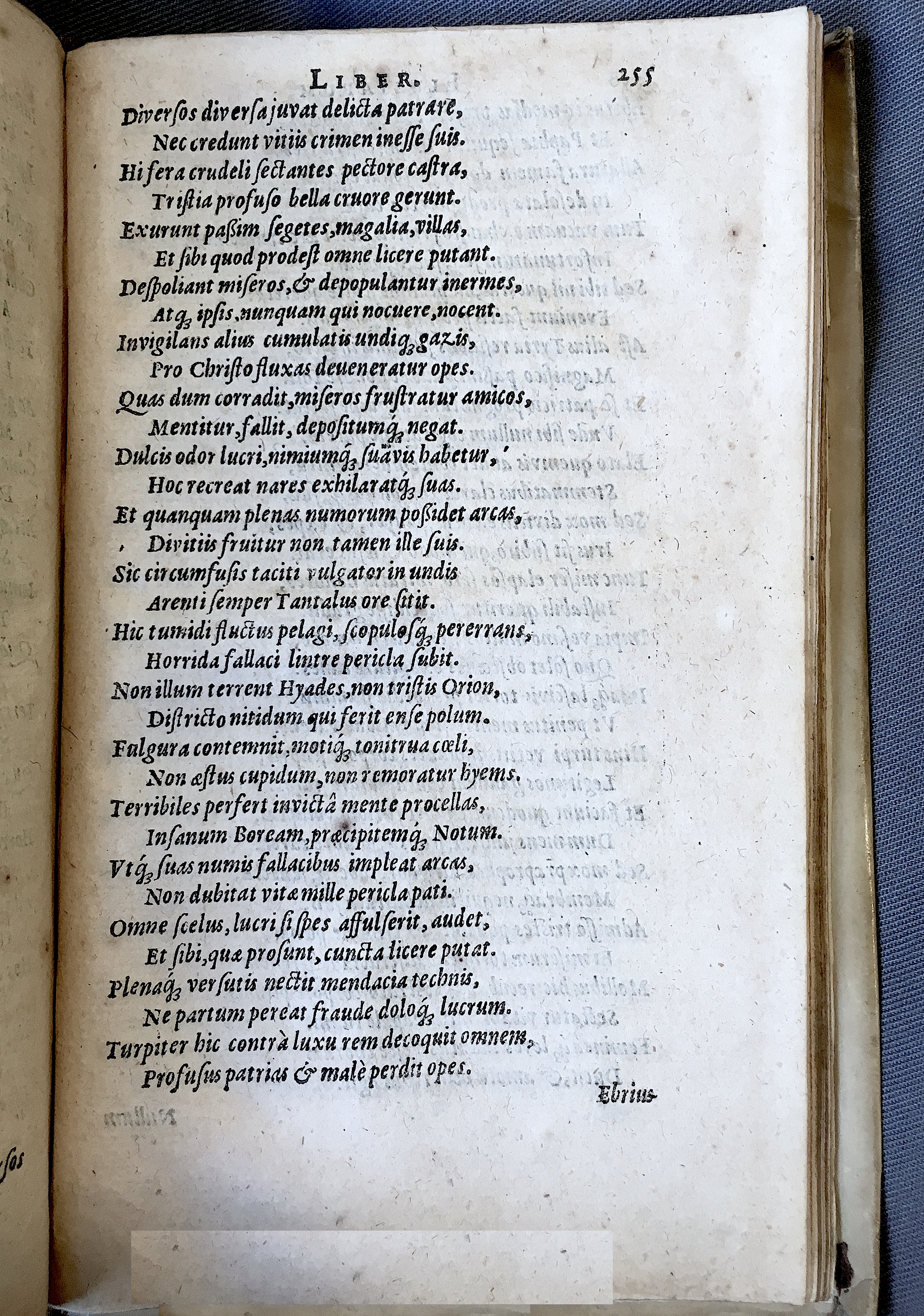 Schonaeus7Poemata1599p253c.jpg