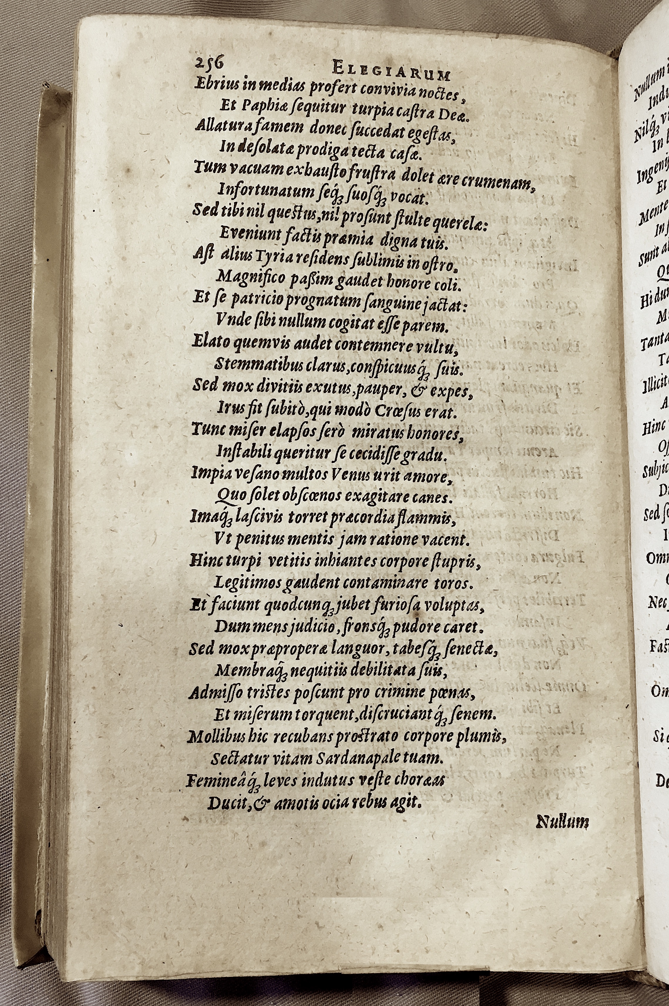 Schonaeus7Poemata1599p254.jpg