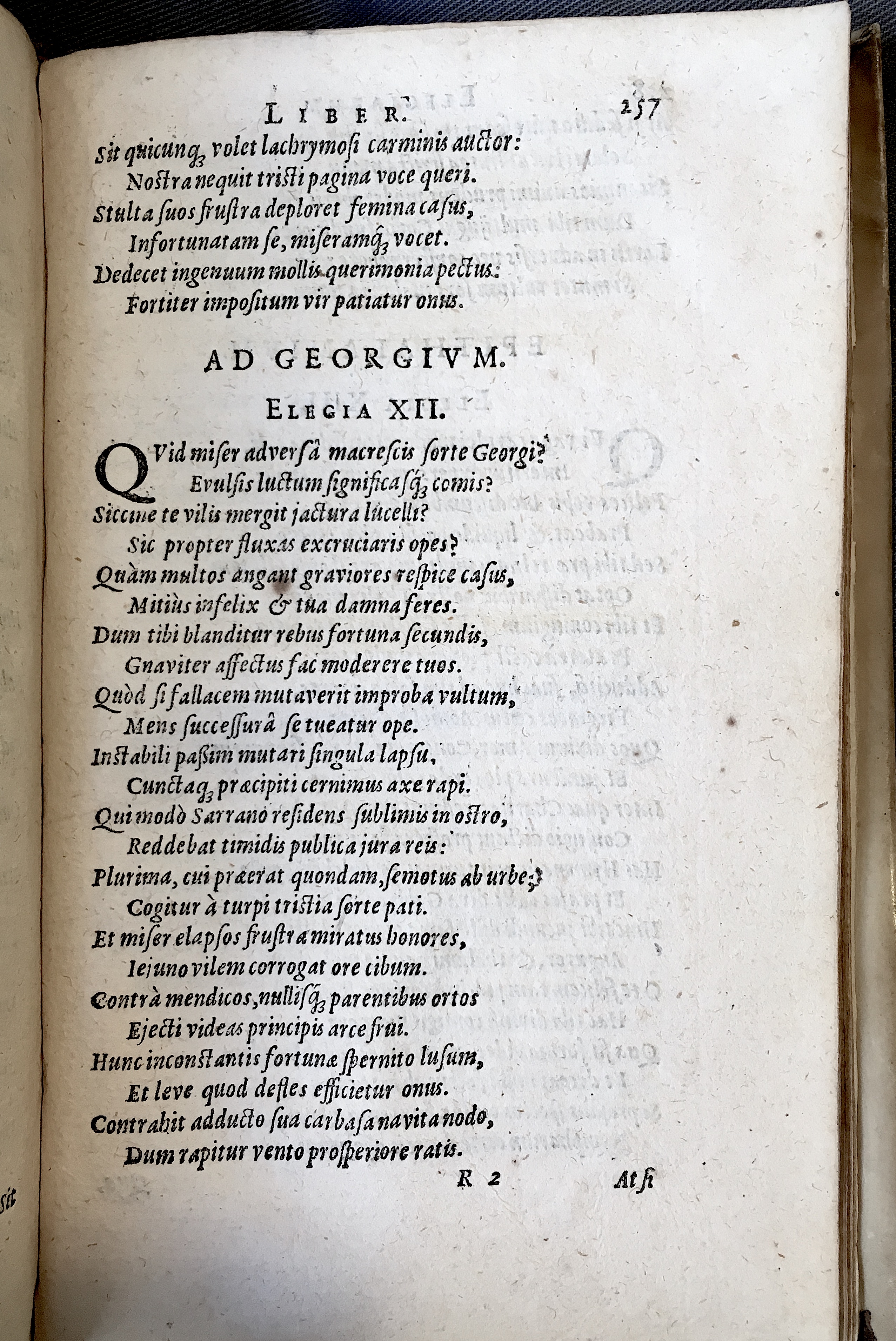 Schonaeus7Poemata1599p257.jpg