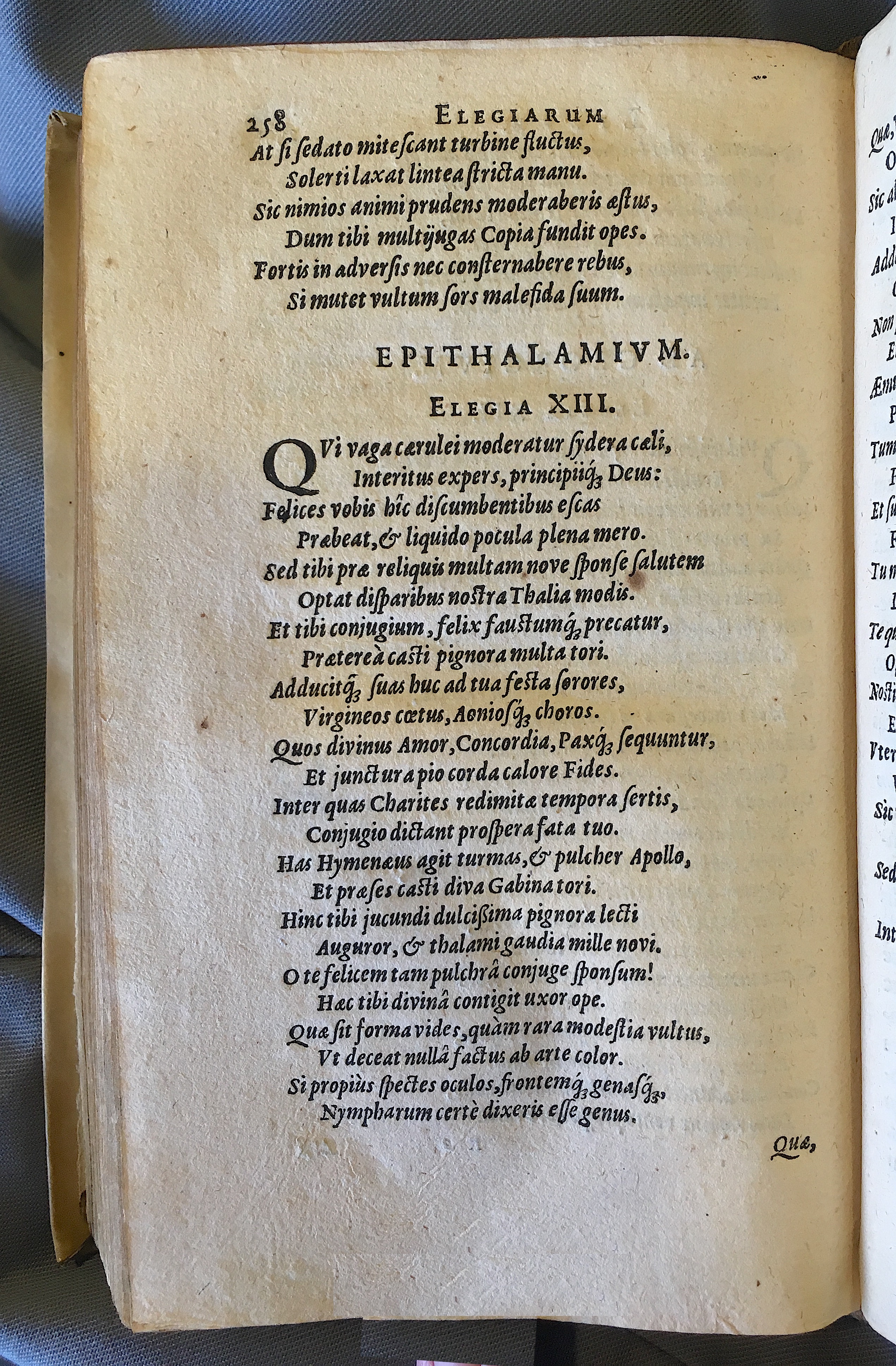 Schonaeus7Poemata1599p258.jpg