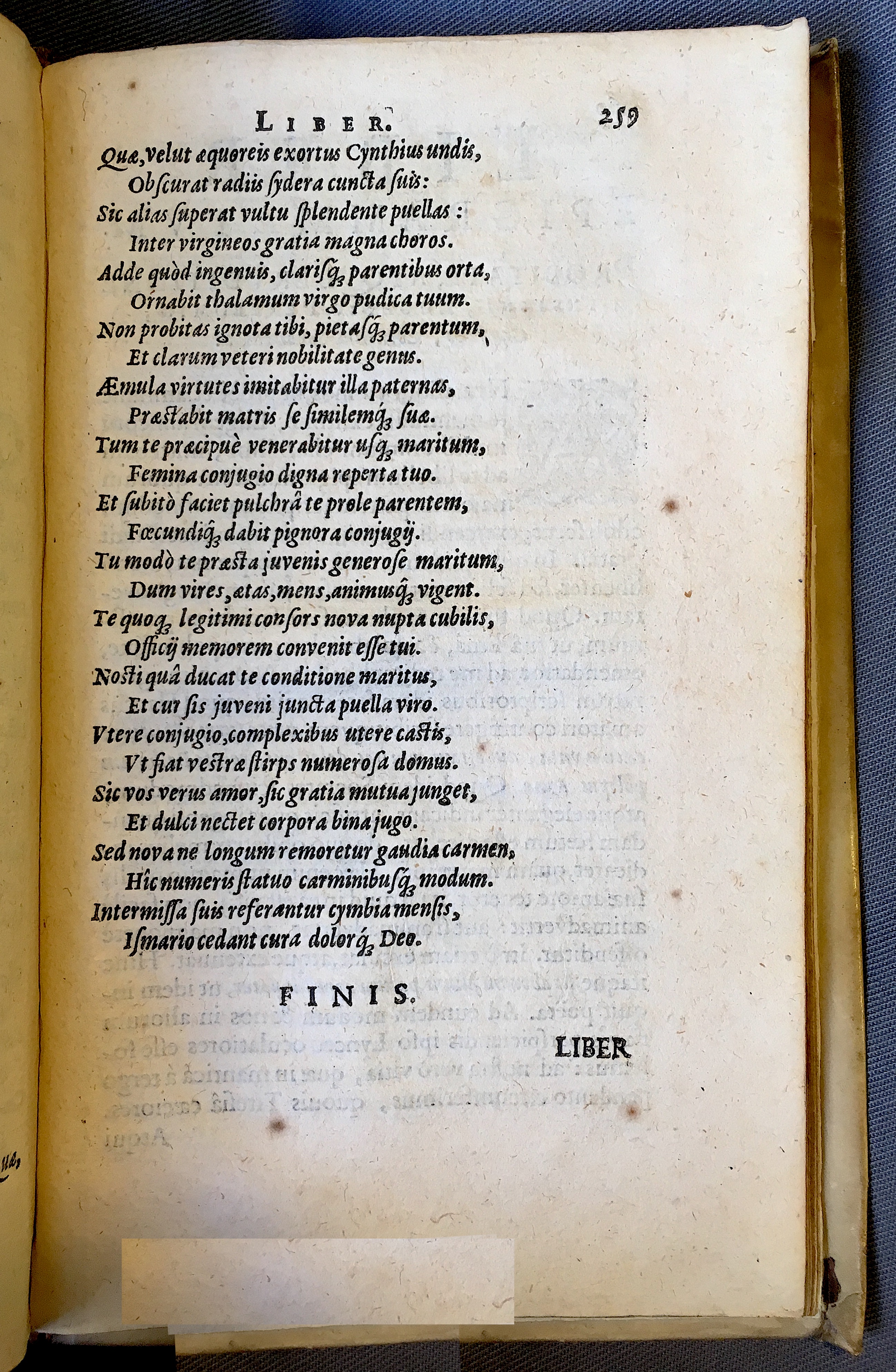 Schonaeus7Poemata1599p259.jpg