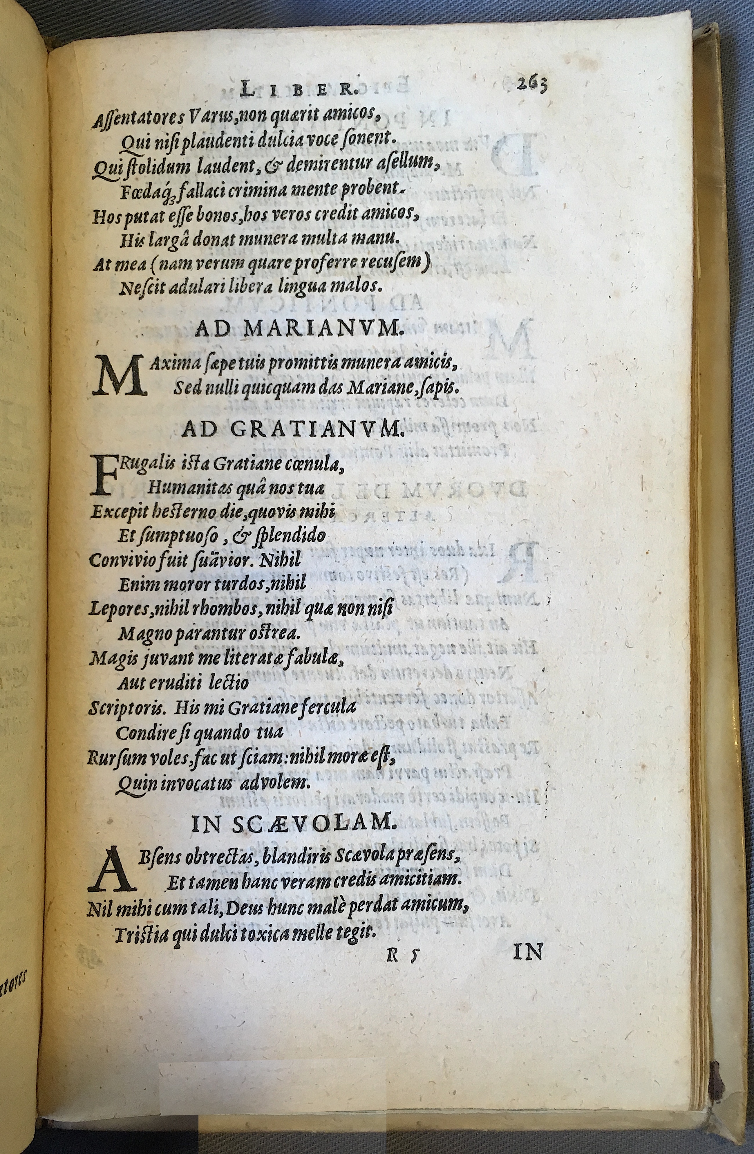 Schonaeus7Poemata1599p263.jpg