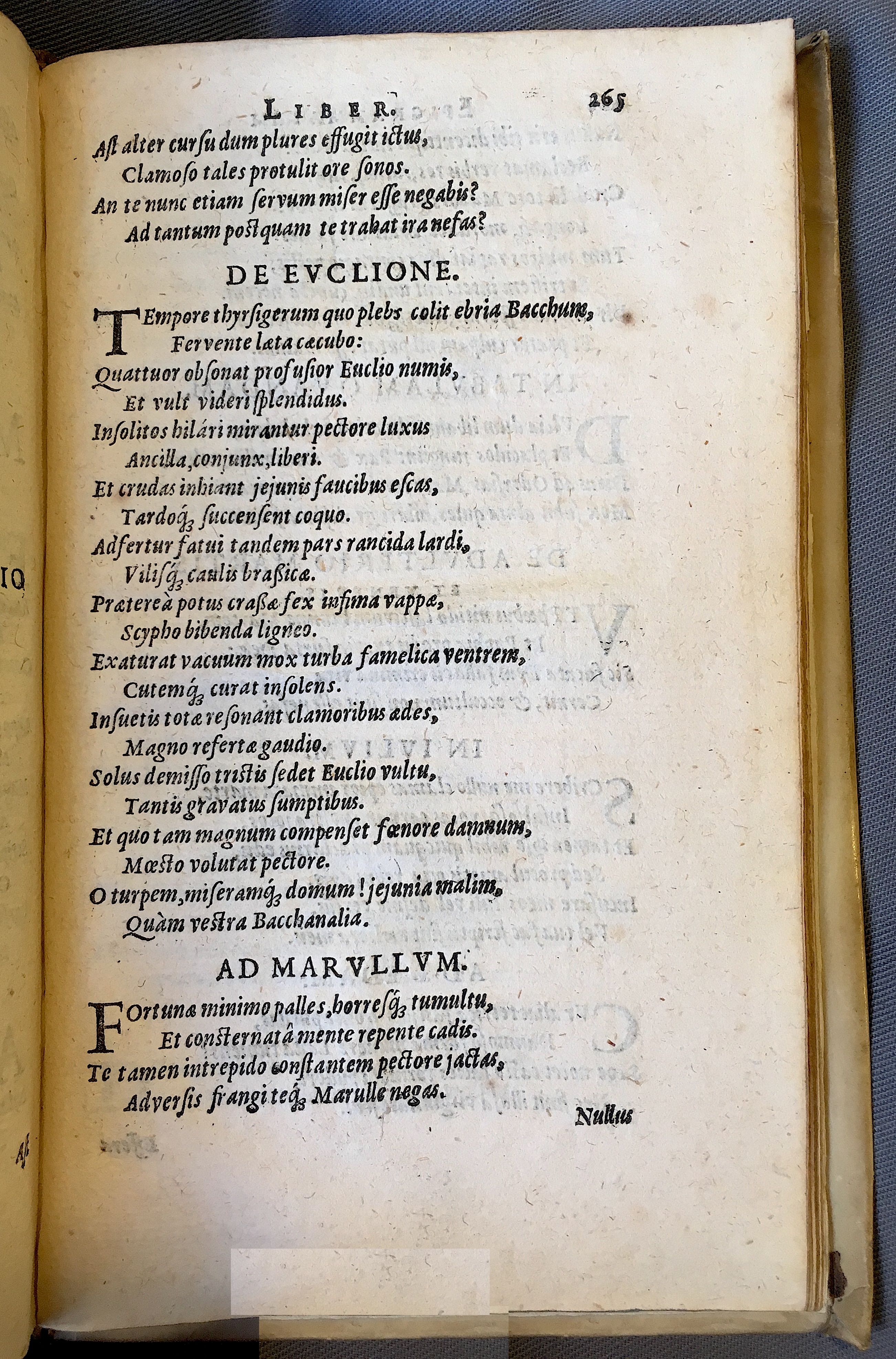 Schonaeus7Poemata1599p265.jpg