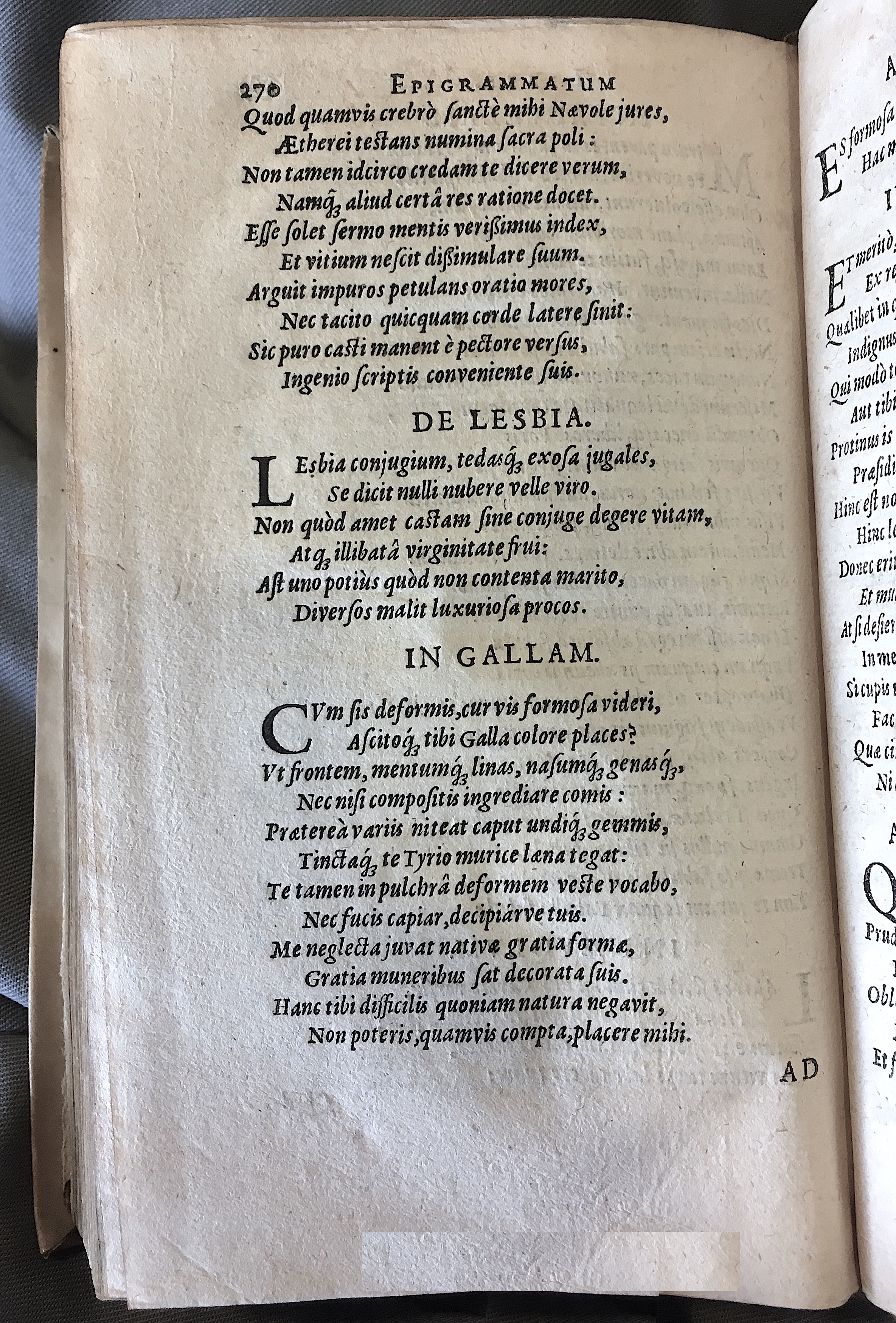 Schonaeus7Poemata1599p270.jpg