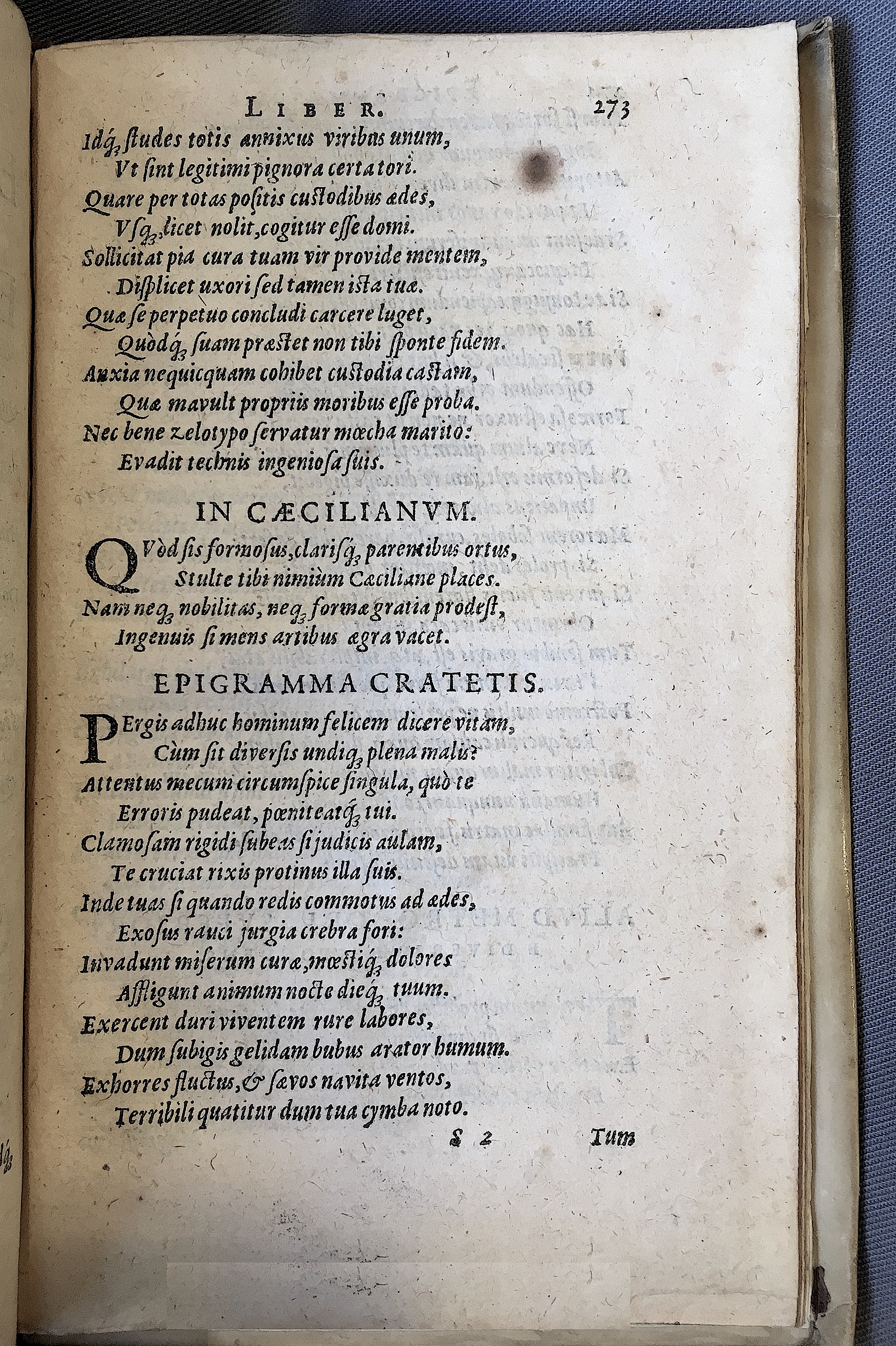 Schonaeus7Poemata1599p273.jpg