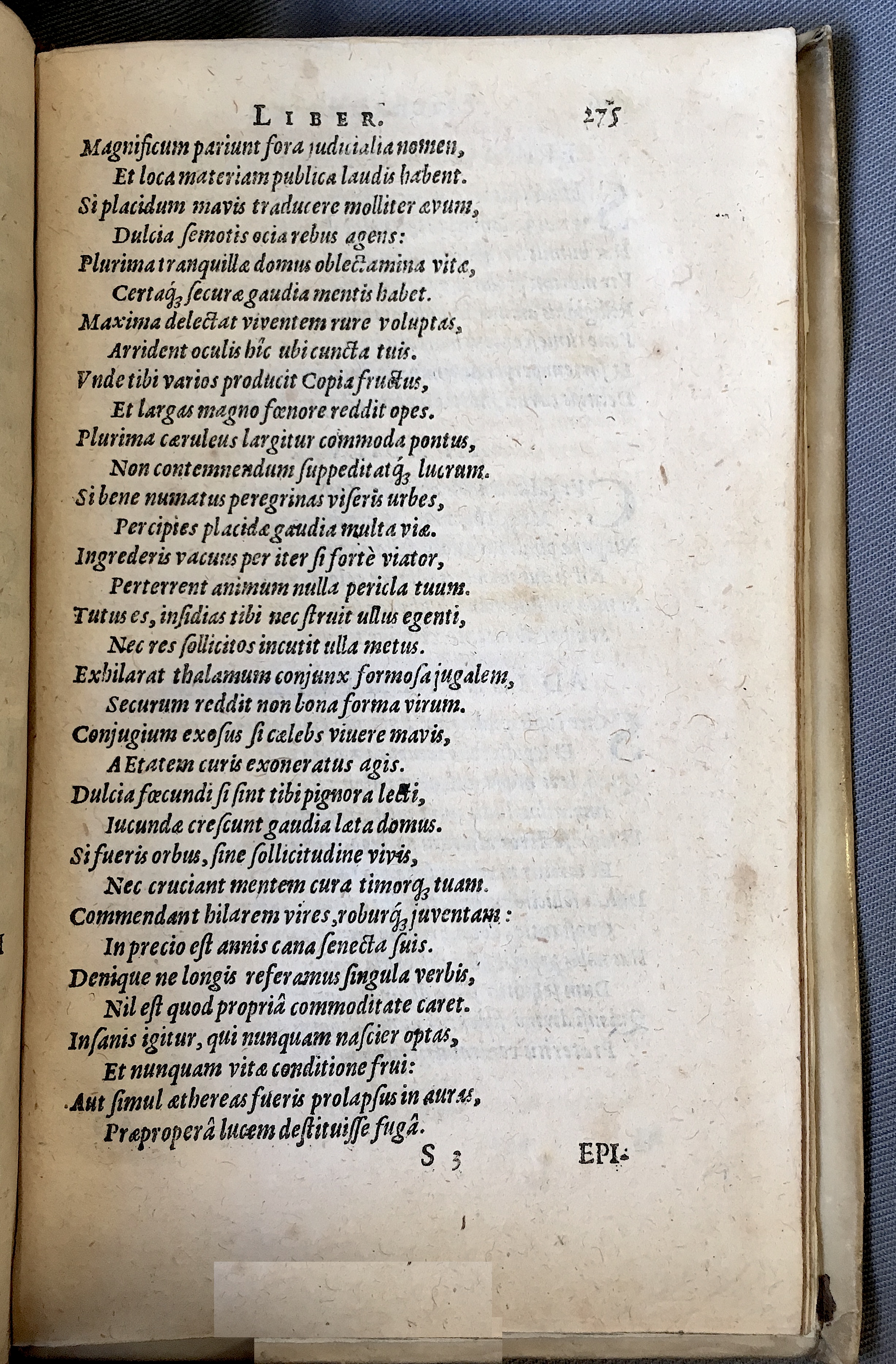 Schonaeus7Poemata1599p275.jpg