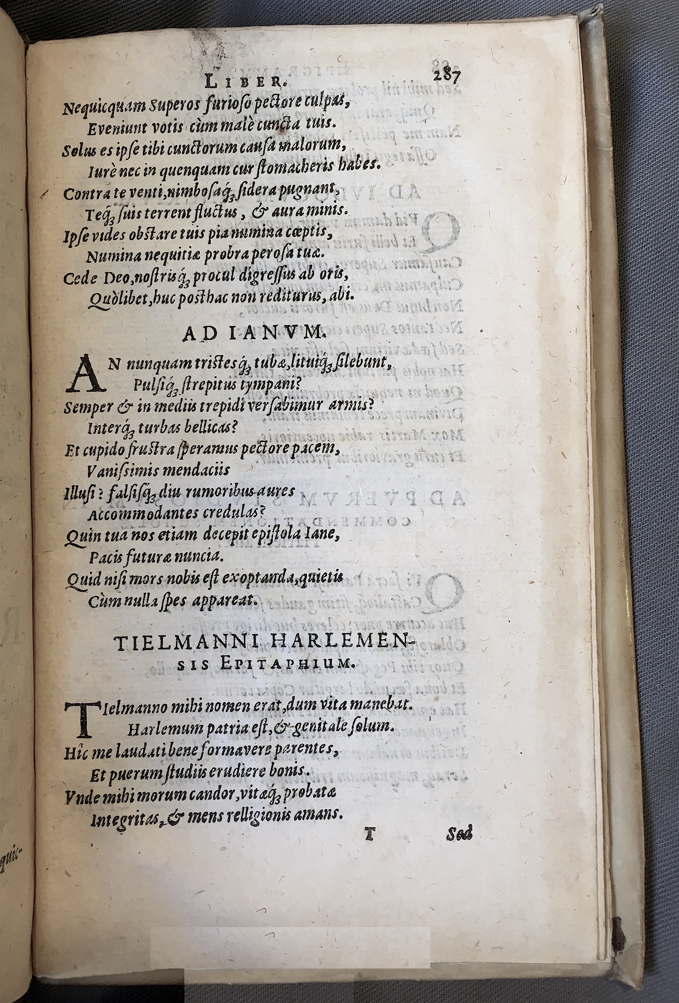 Schonaeus7Poemata1599p287.jpg