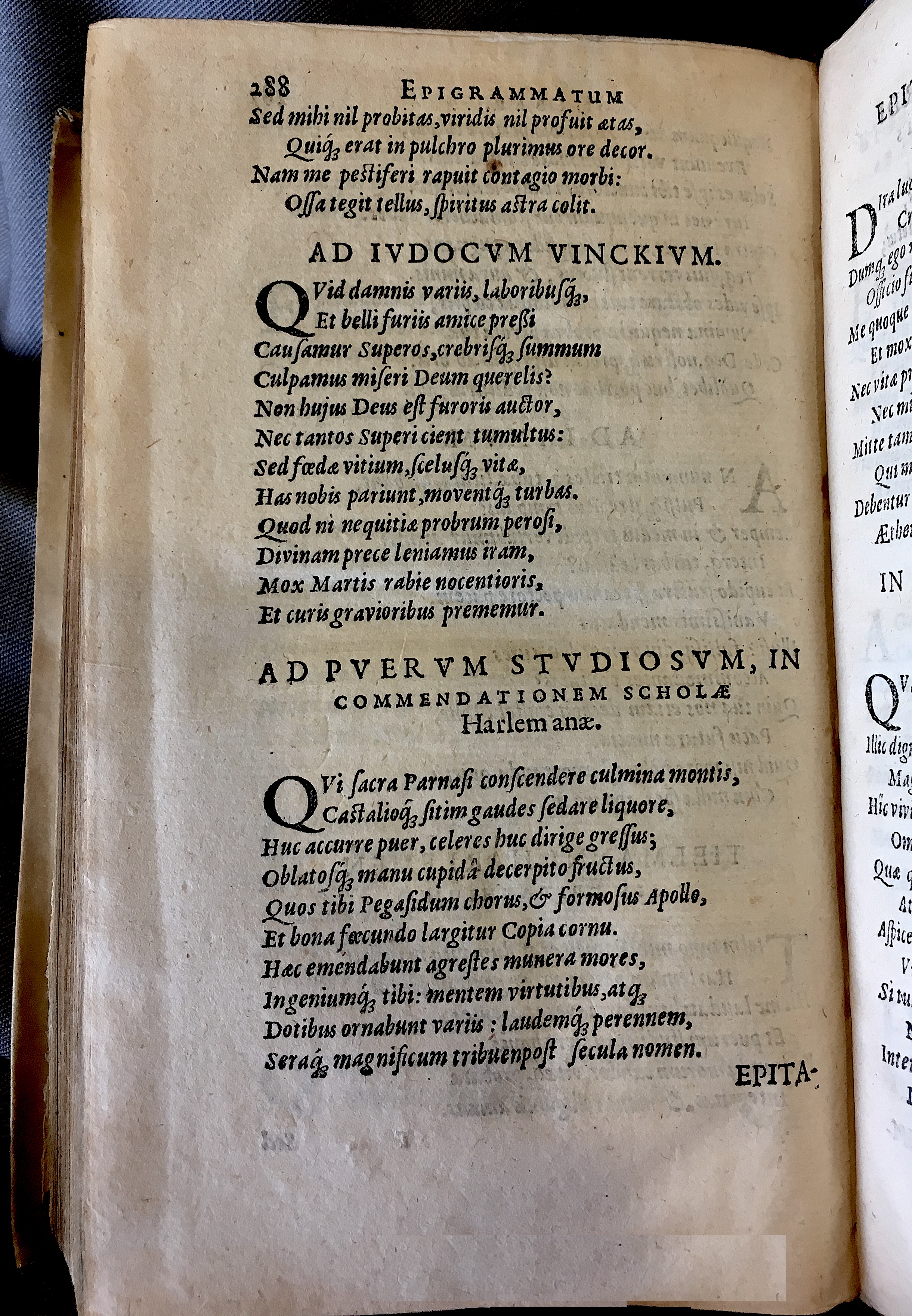 Schonaeus7Poemata1599p288.jpg