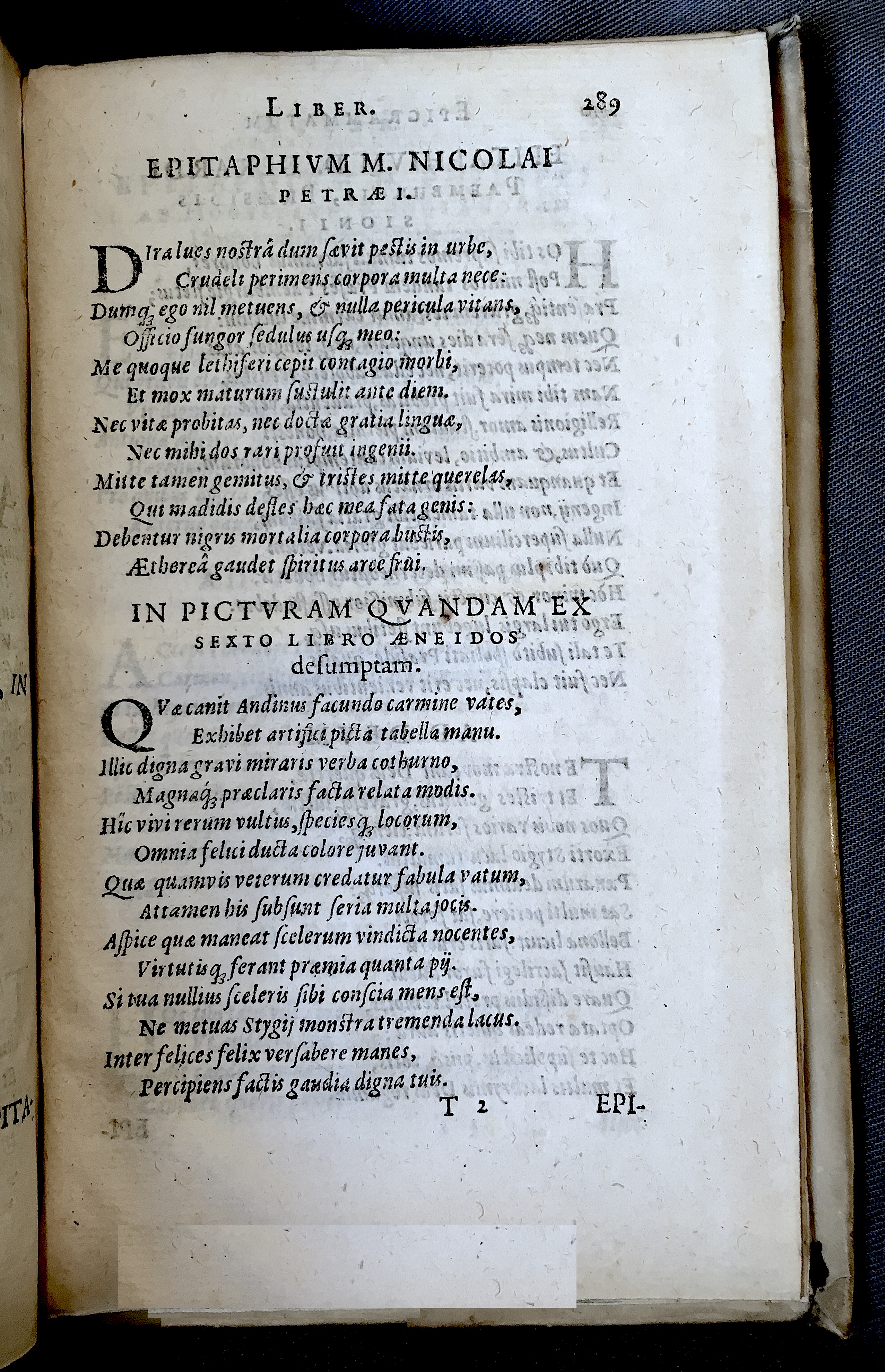 Schonaeus7Poemata1599p289.jpg