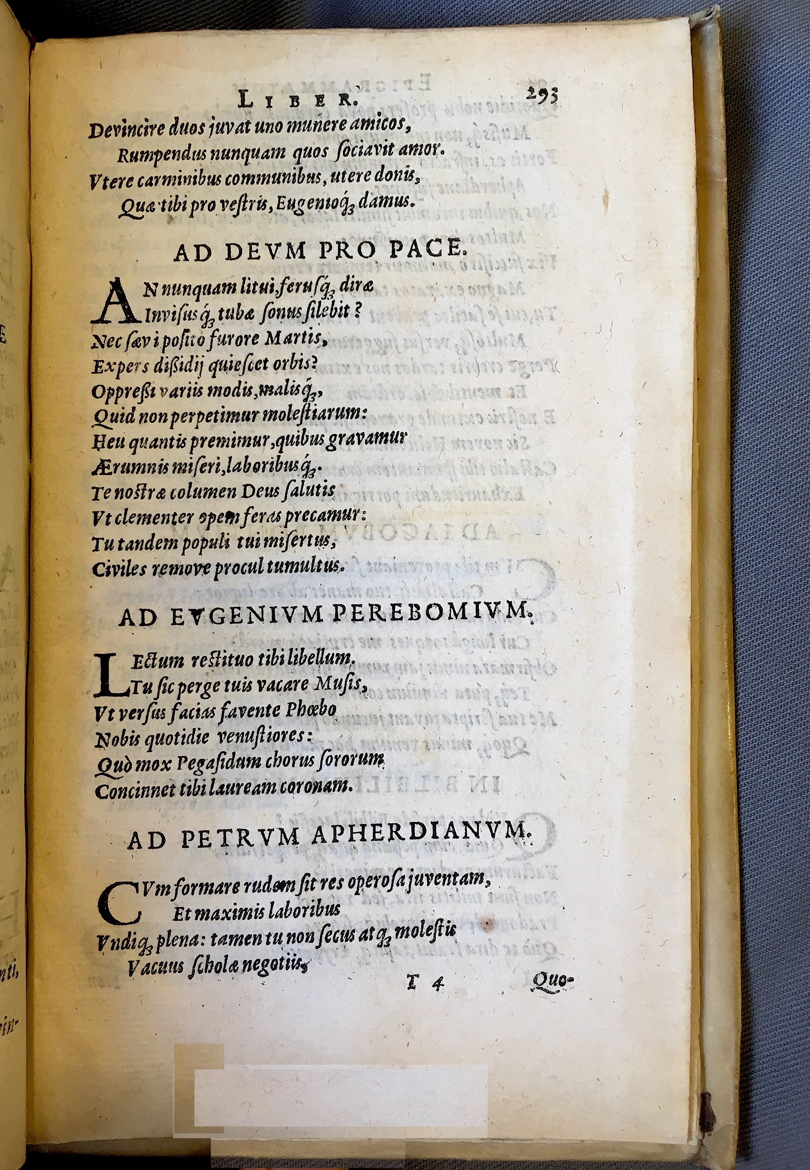 Schonaeus7Poemata1599p293.jpg