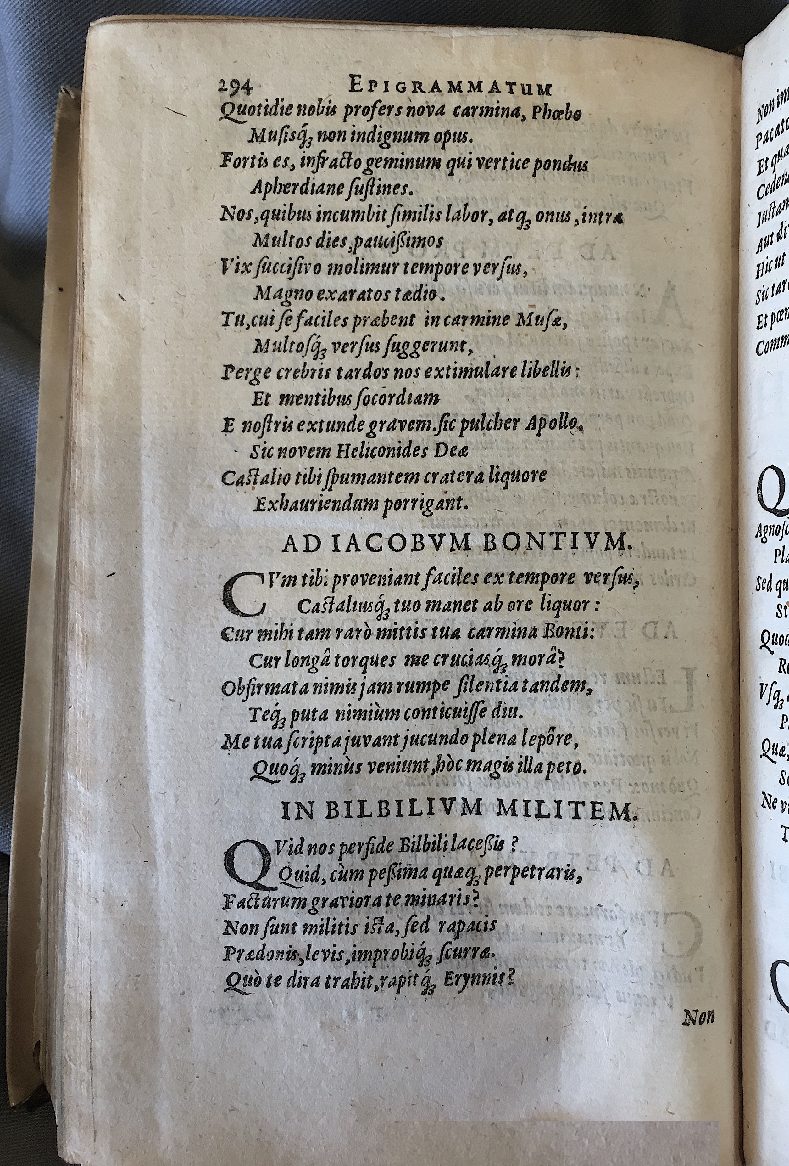 Schonaeus7Poemata1599p294.jpg