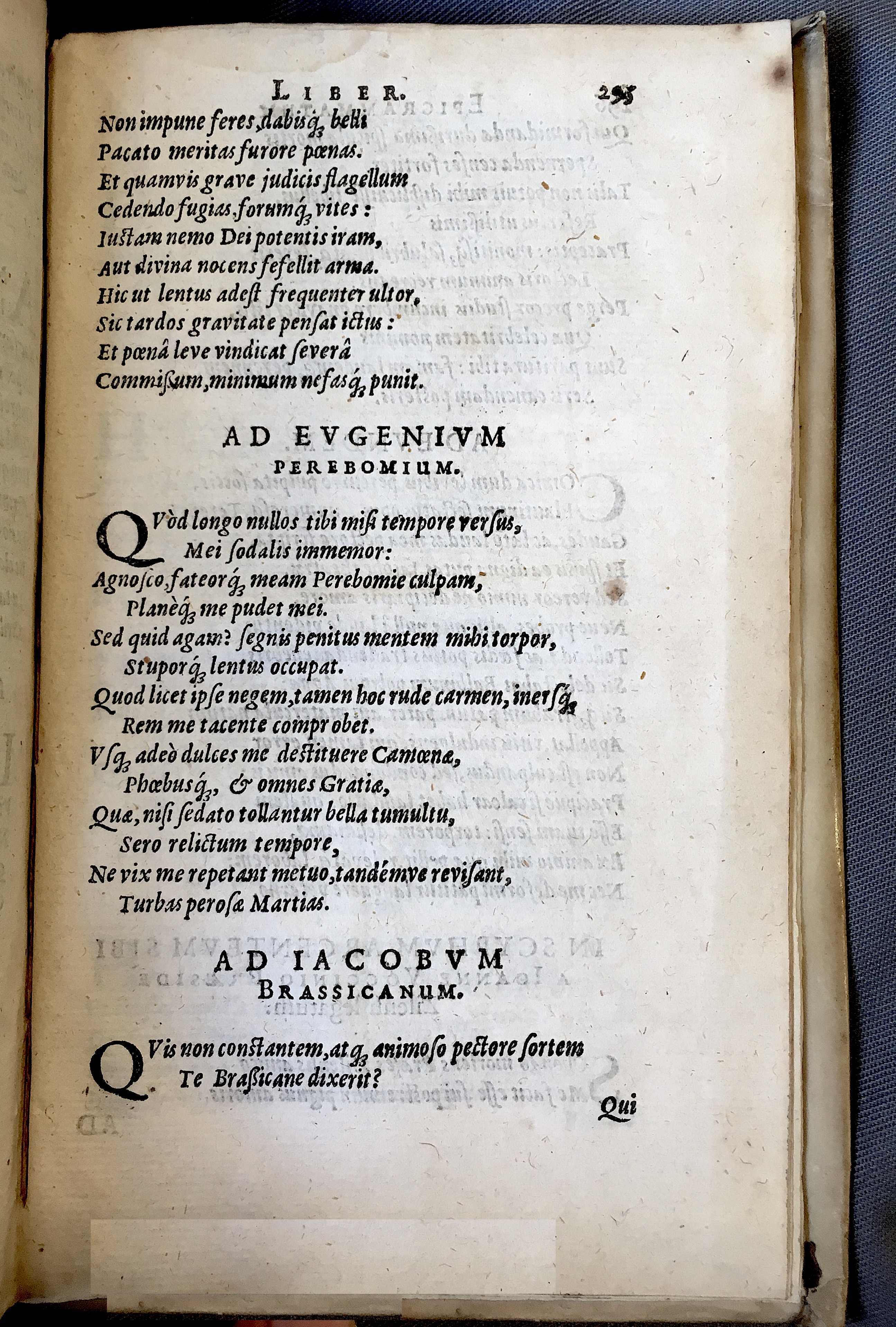 Schonaeus7Poemata1599p295.jpg