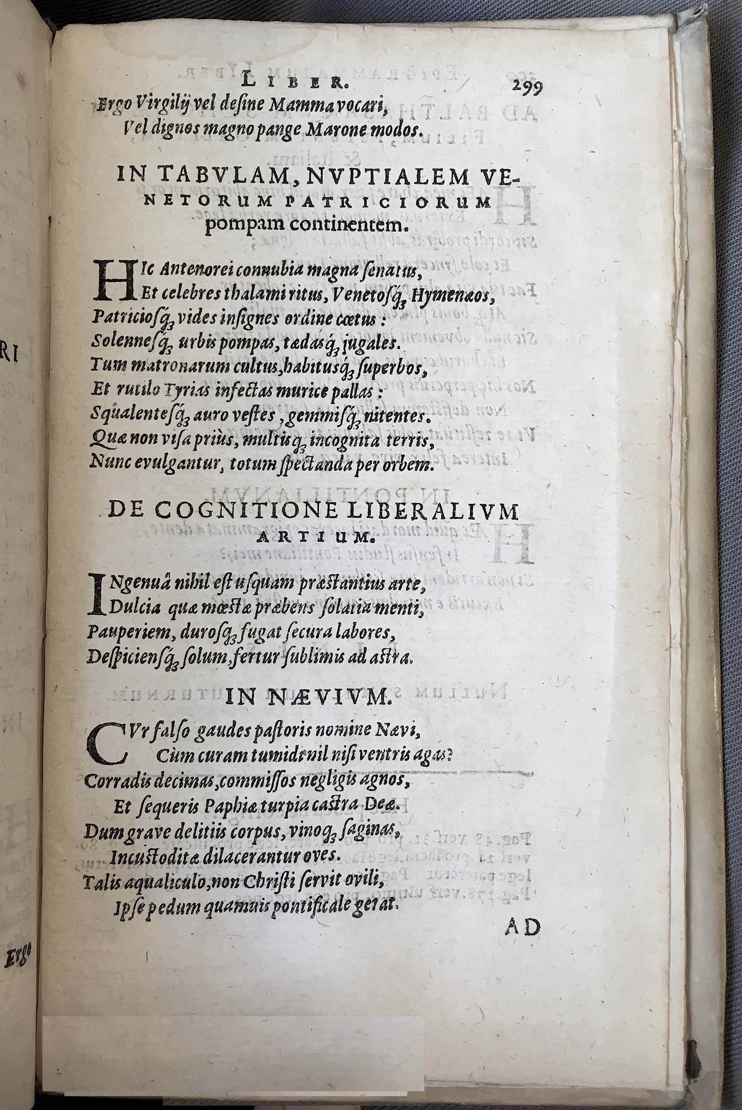 Schonaeus7Poemata1599p299.jpg