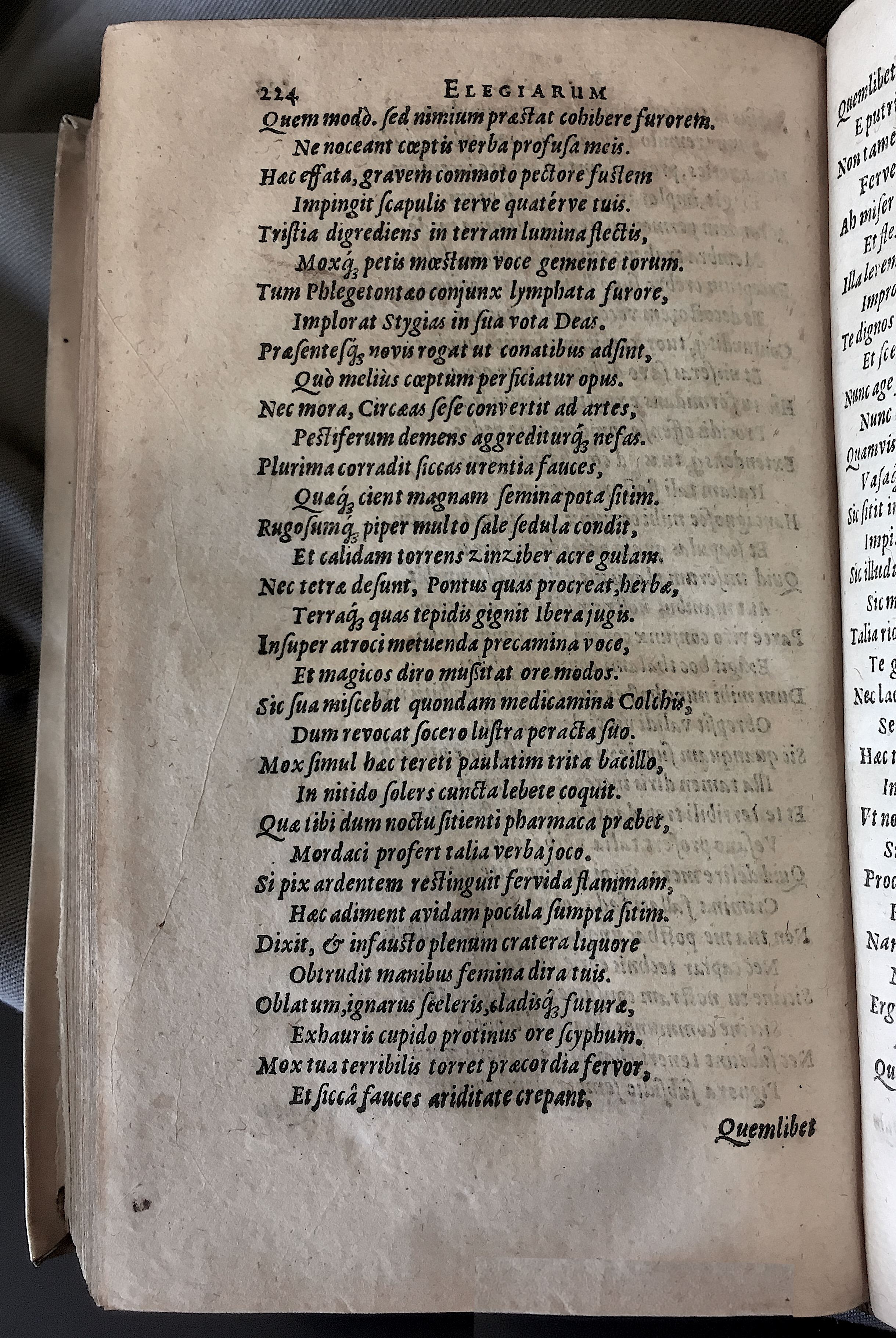 Schonaeus7Poemata1599p224