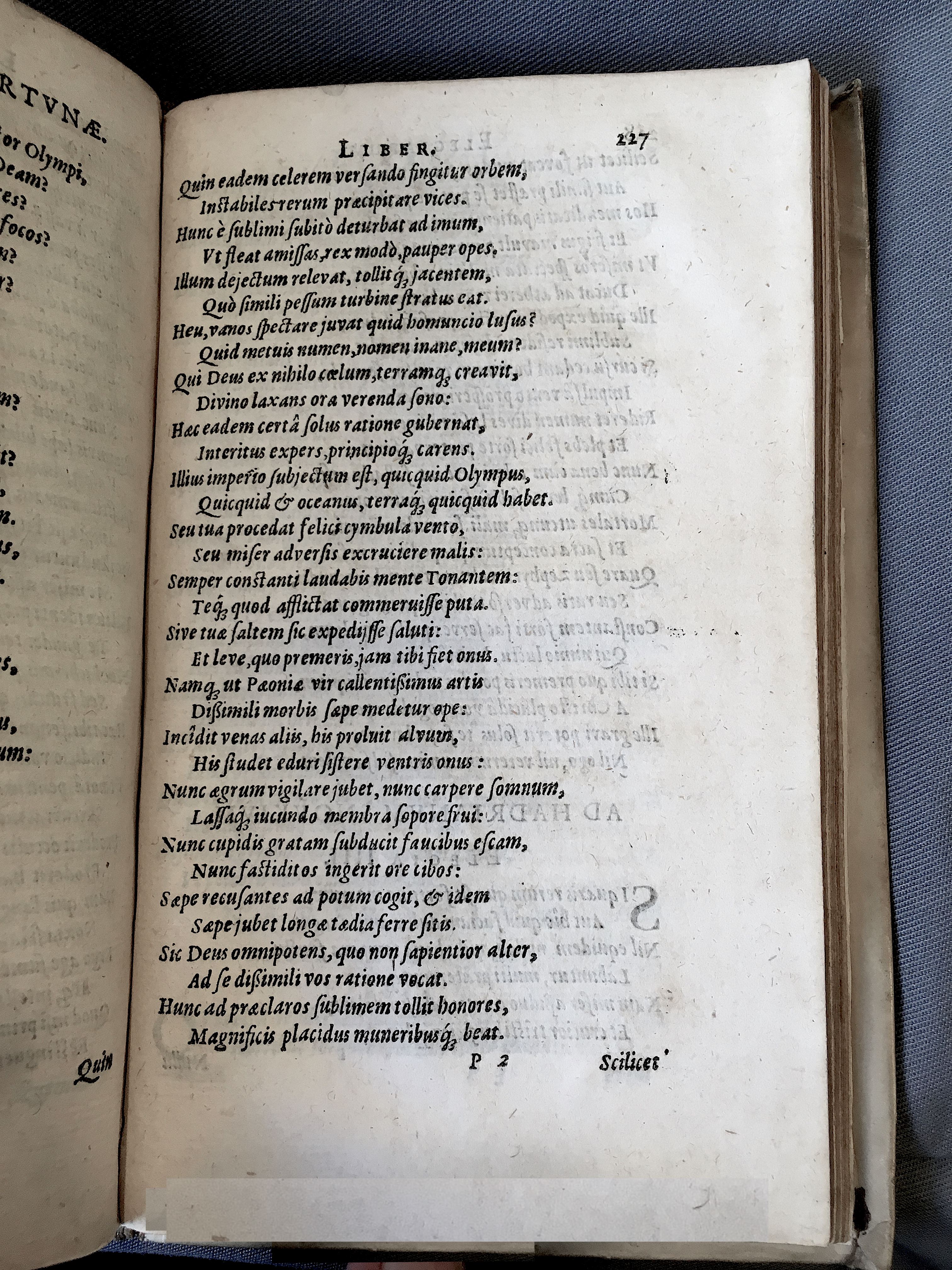 Schonaeus7Poemata1599p227