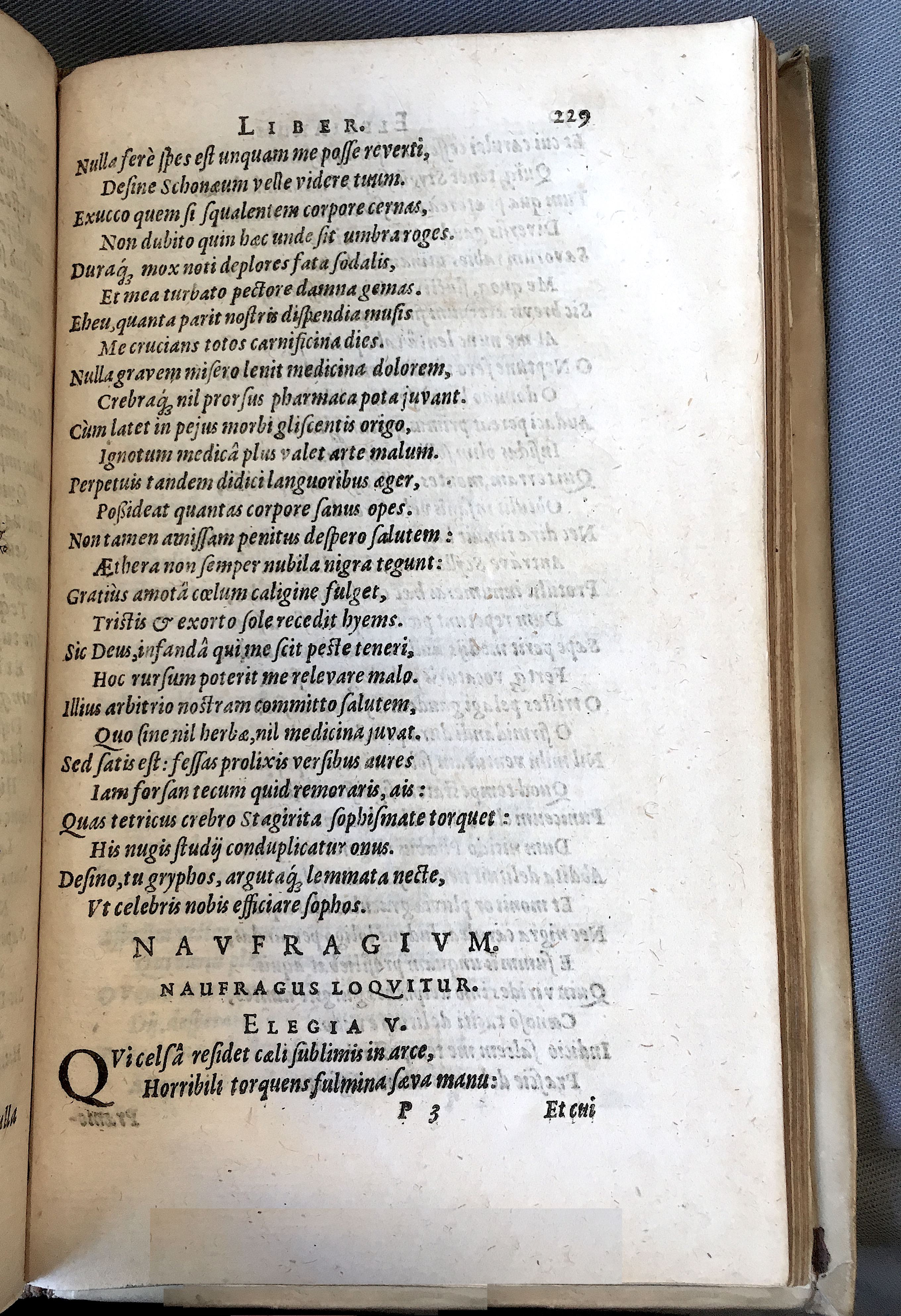 Schonaeus7Poemata1599p229