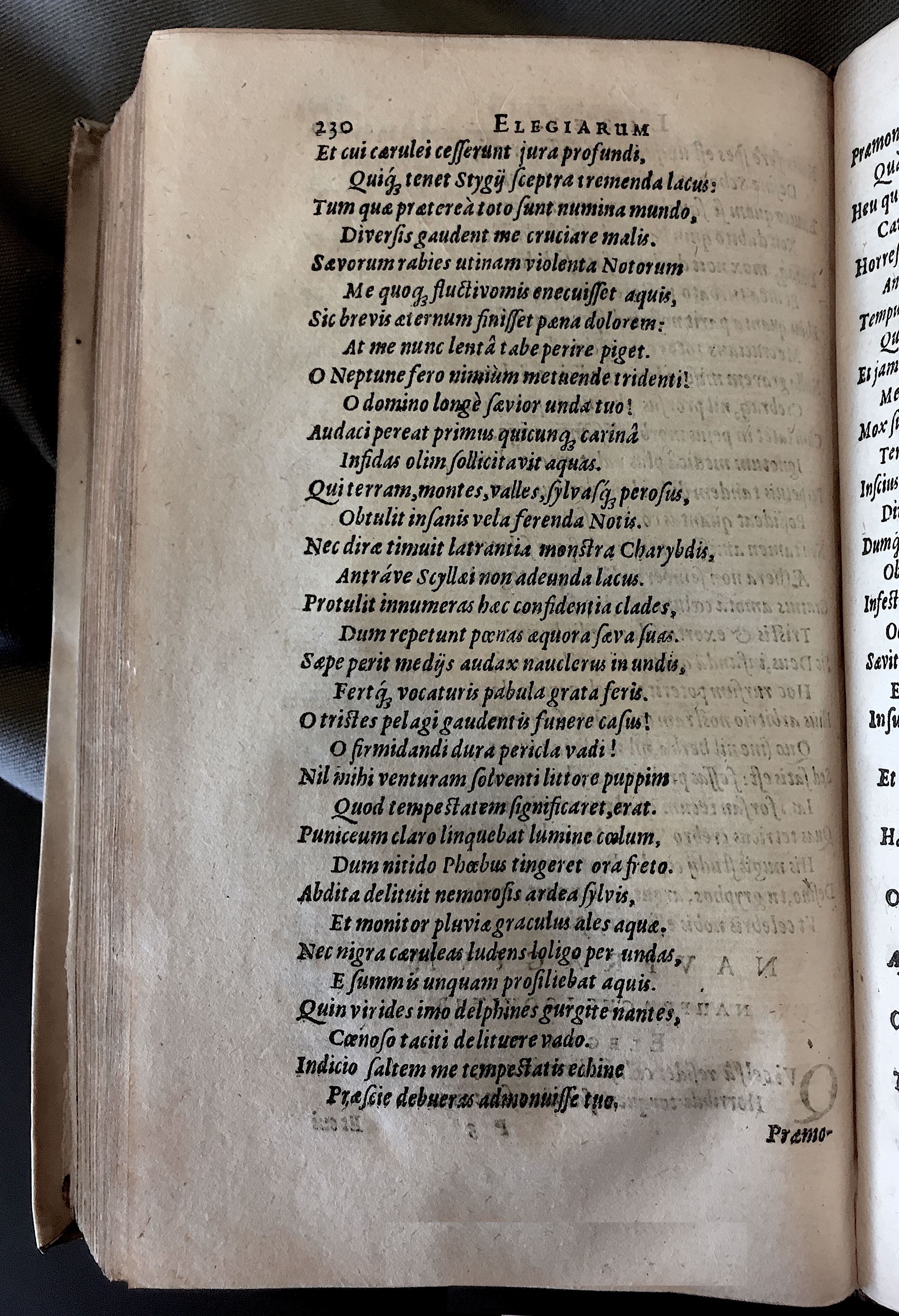 Schonaeus7Poemata1599p230