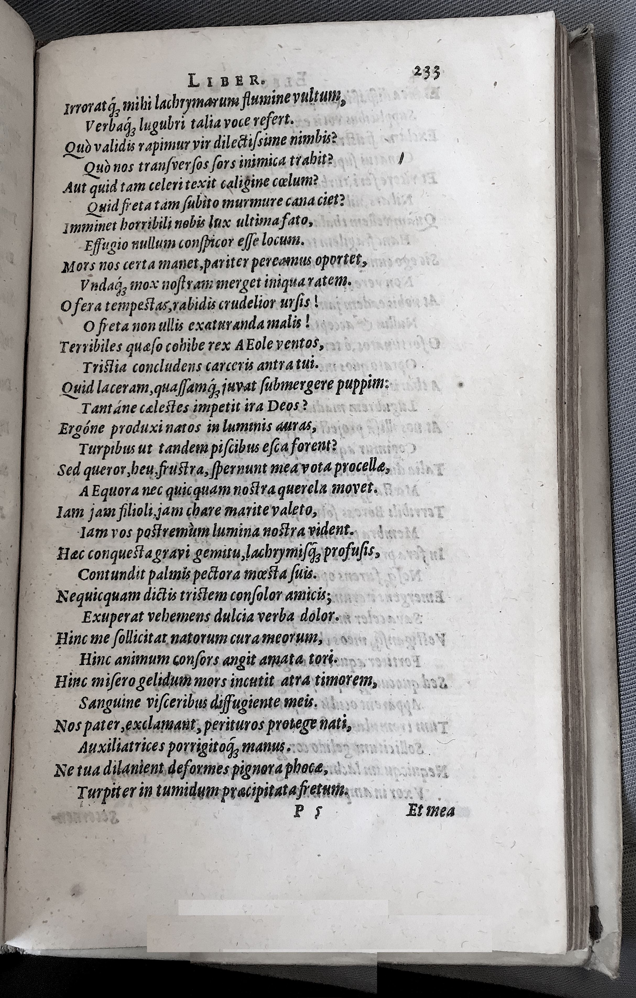 Schonaeus7Poemata1599p233