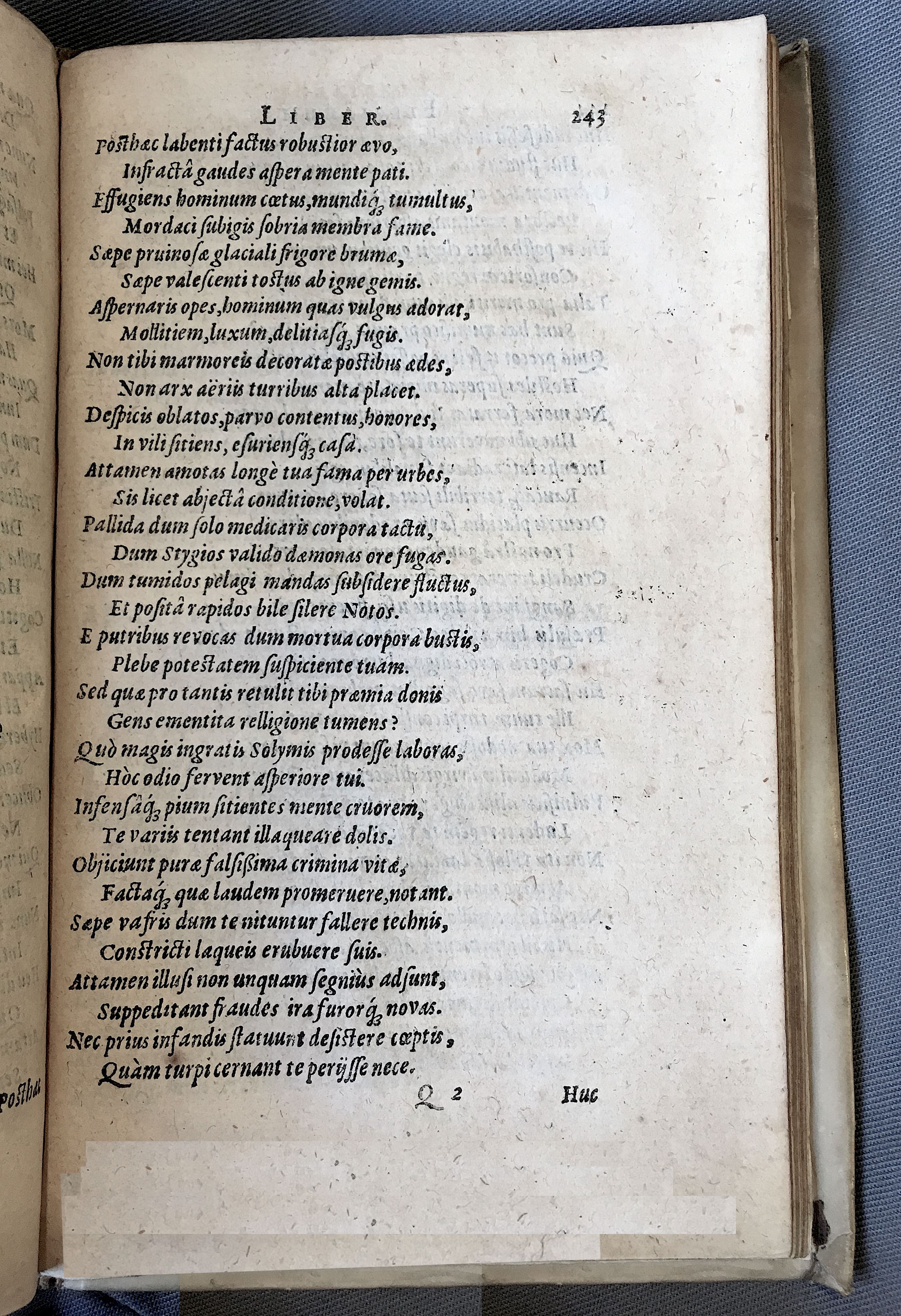 Schonaeus7Poemata1599p243