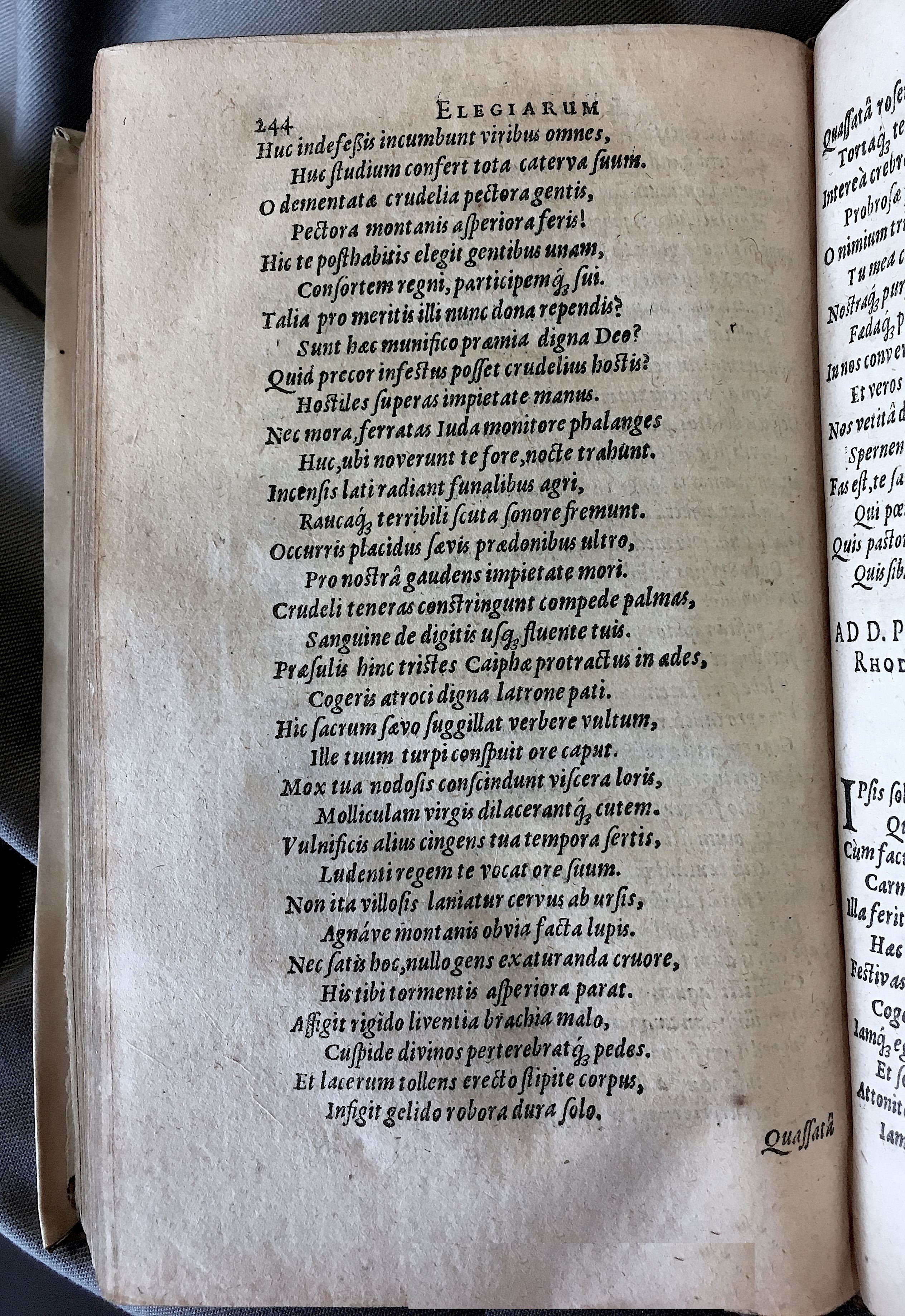 Schonaeus7Poemata1599p244