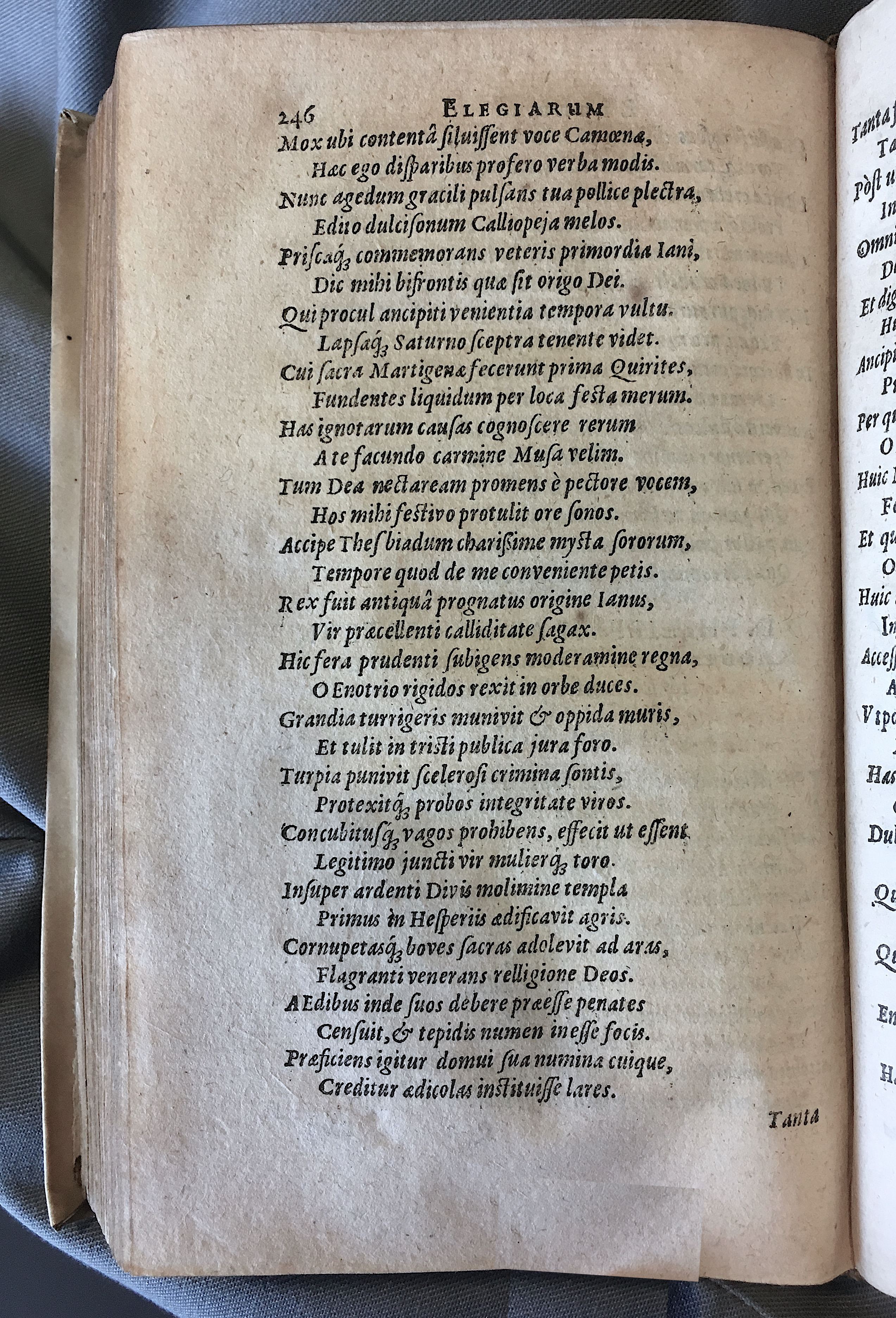 Schonaeus7Poemata1599p246