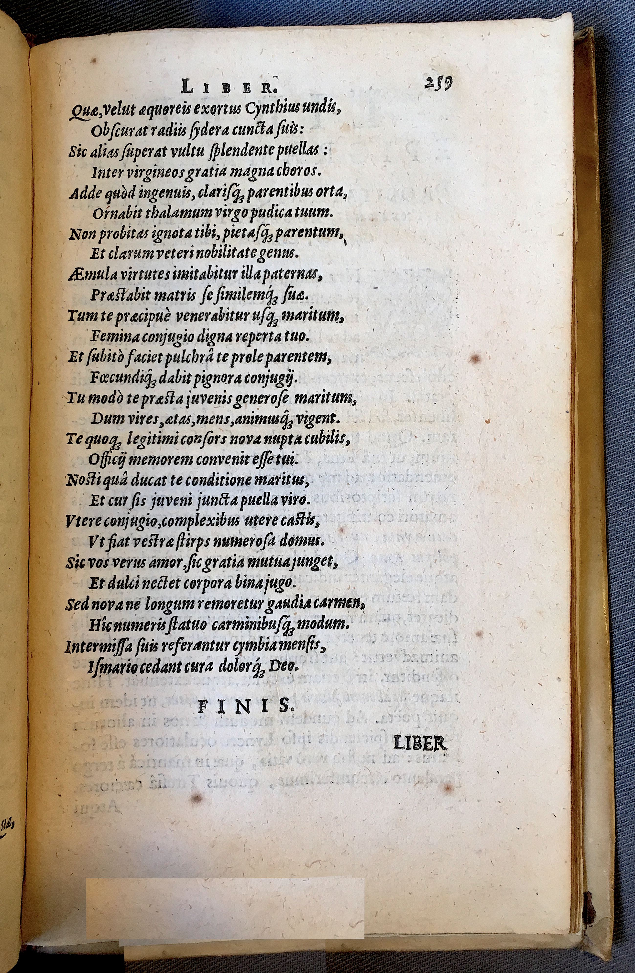 Schonaeus7Poemata1599p259