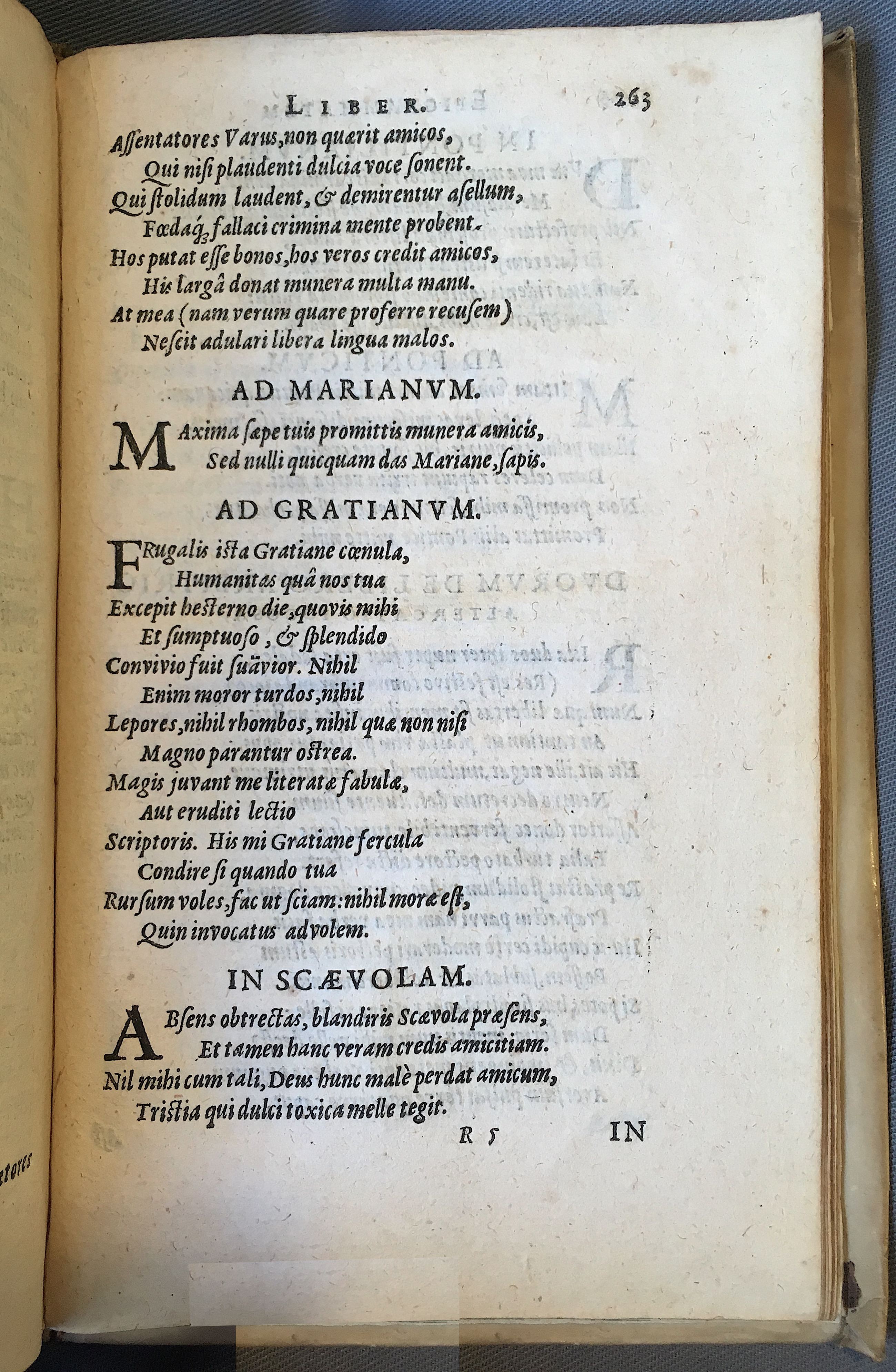 Schonaeus7Poemata1599p263