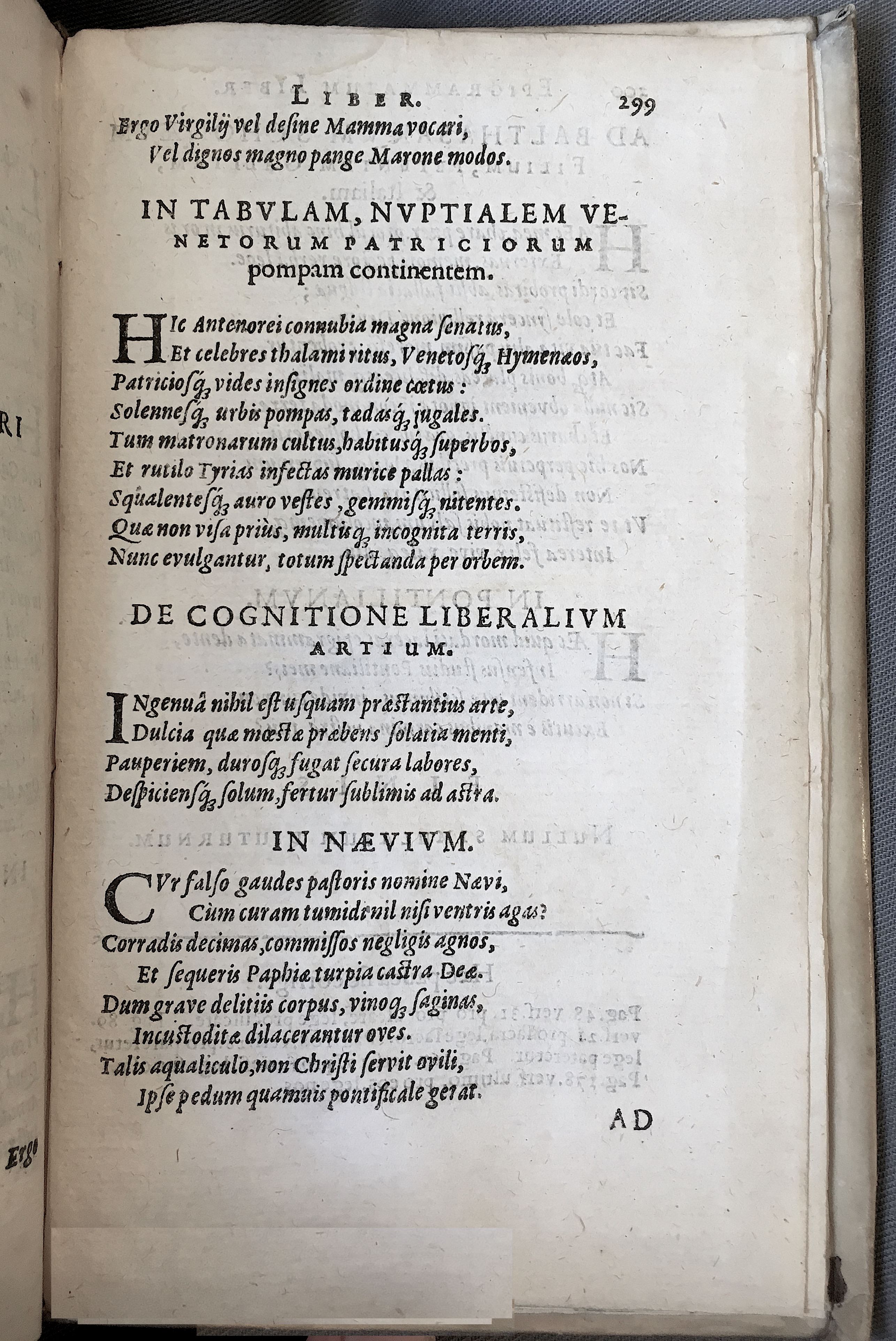 Schonaeus7Poemata1599p299