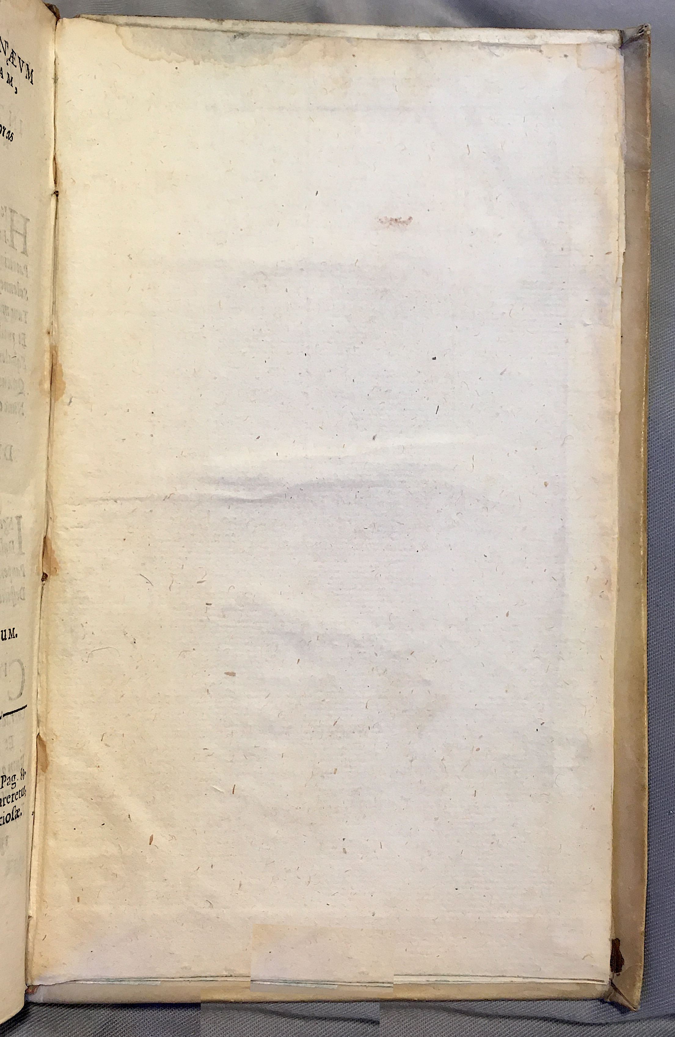 Schonaeus7Poemata1599p303