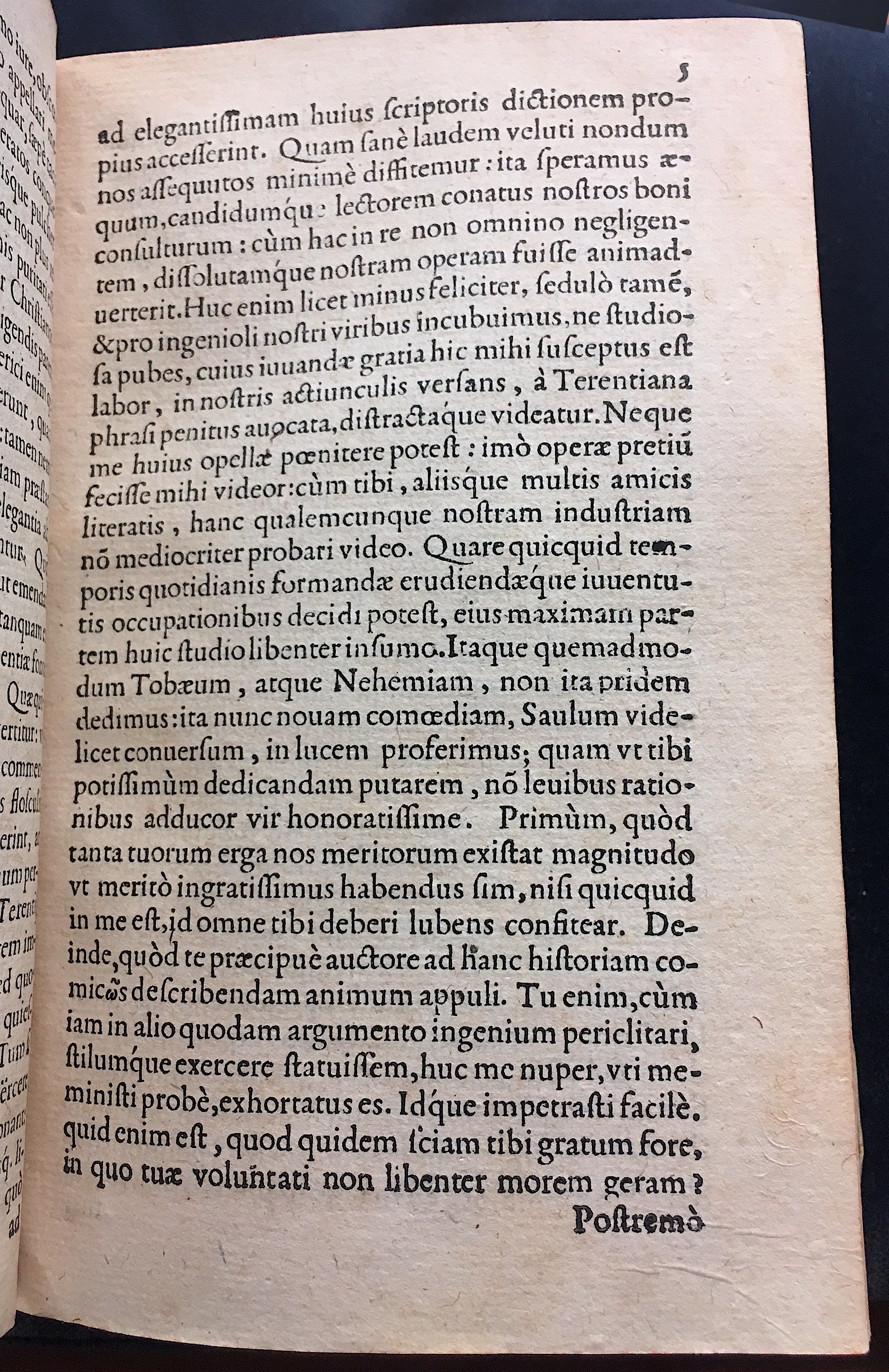 SchonaeusSaulus1581p05.jpg