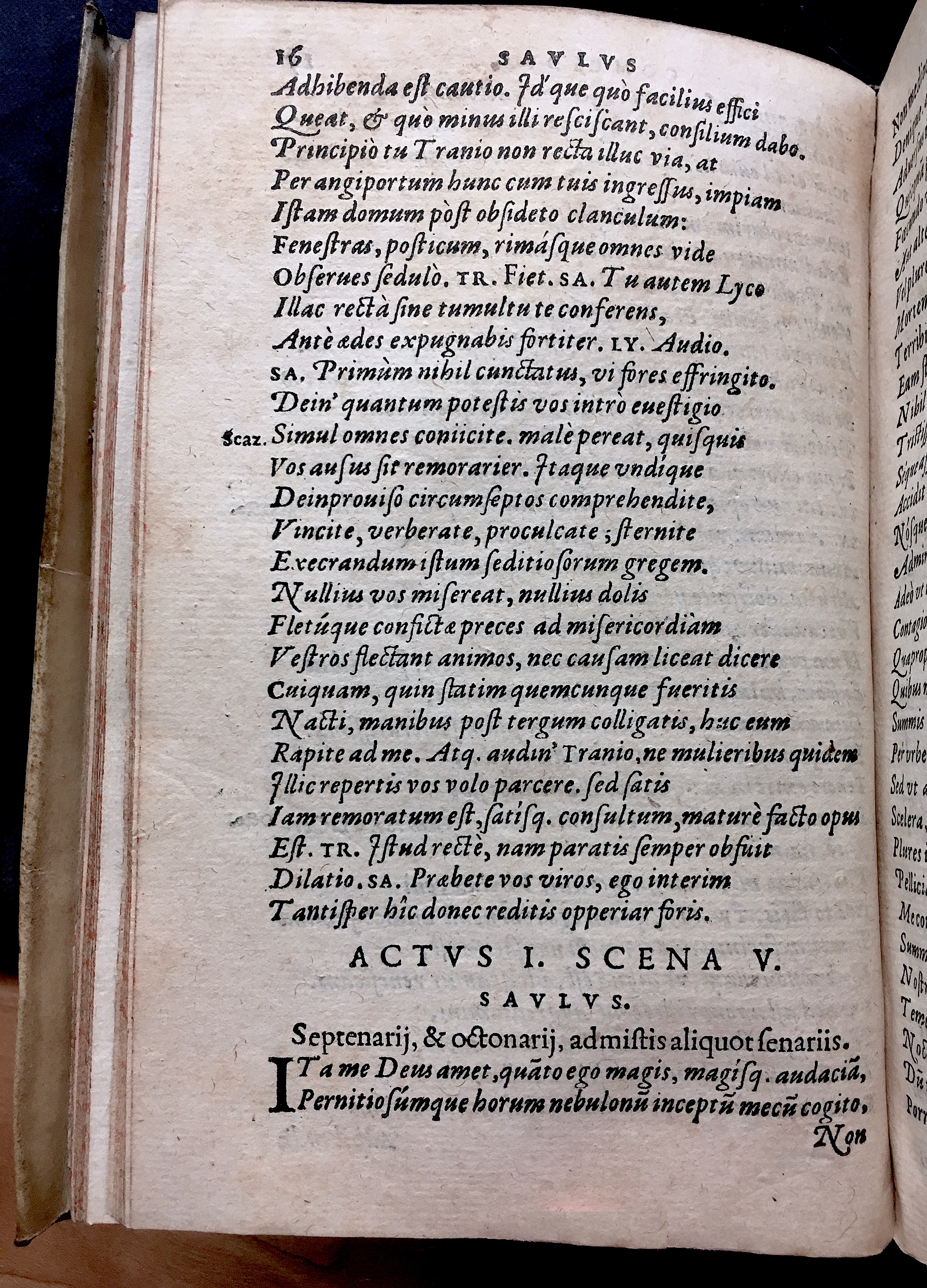 SchonaeusSaulus1581p16.jpg