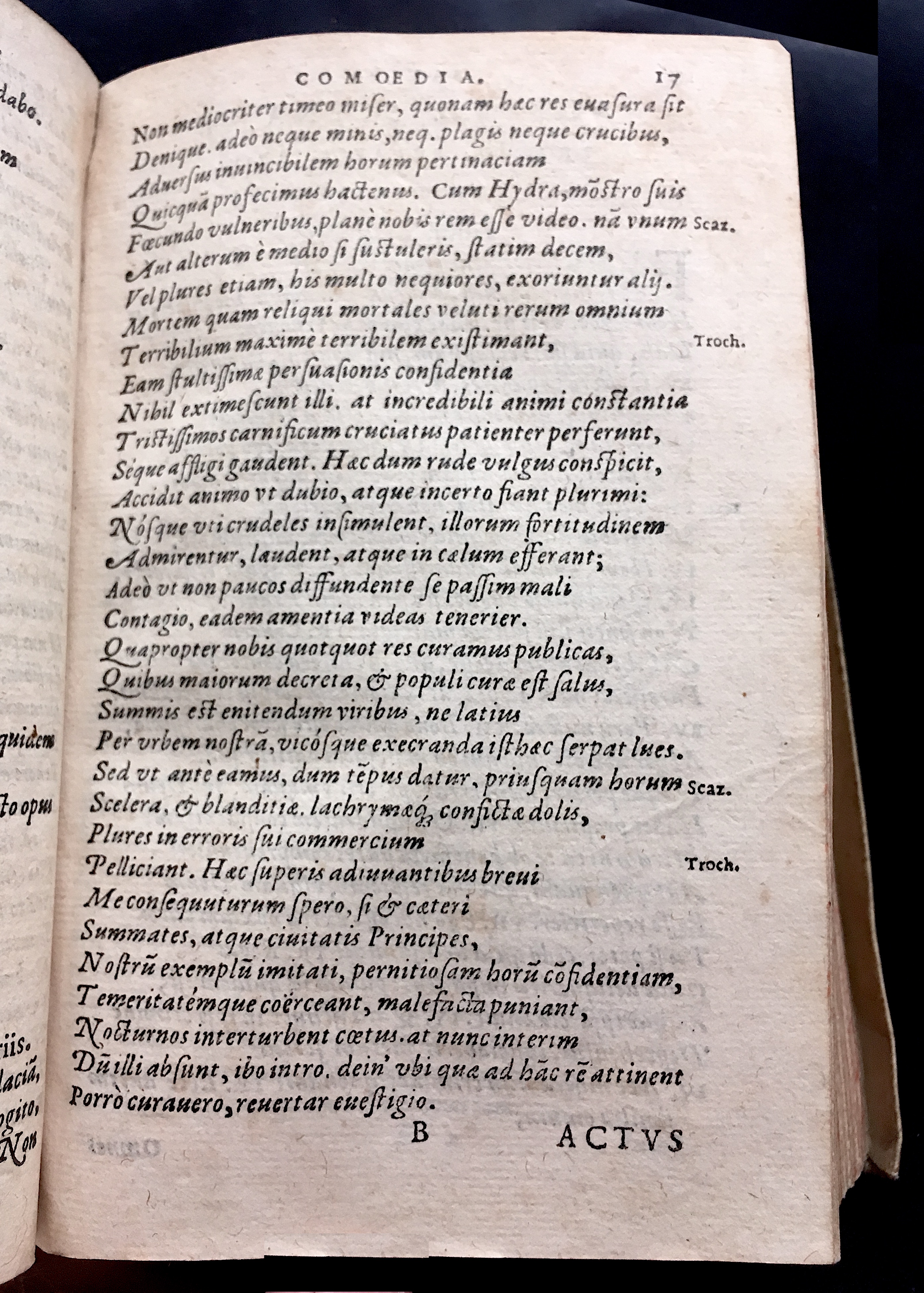 SchonaeusSaulus1581p17.jpg