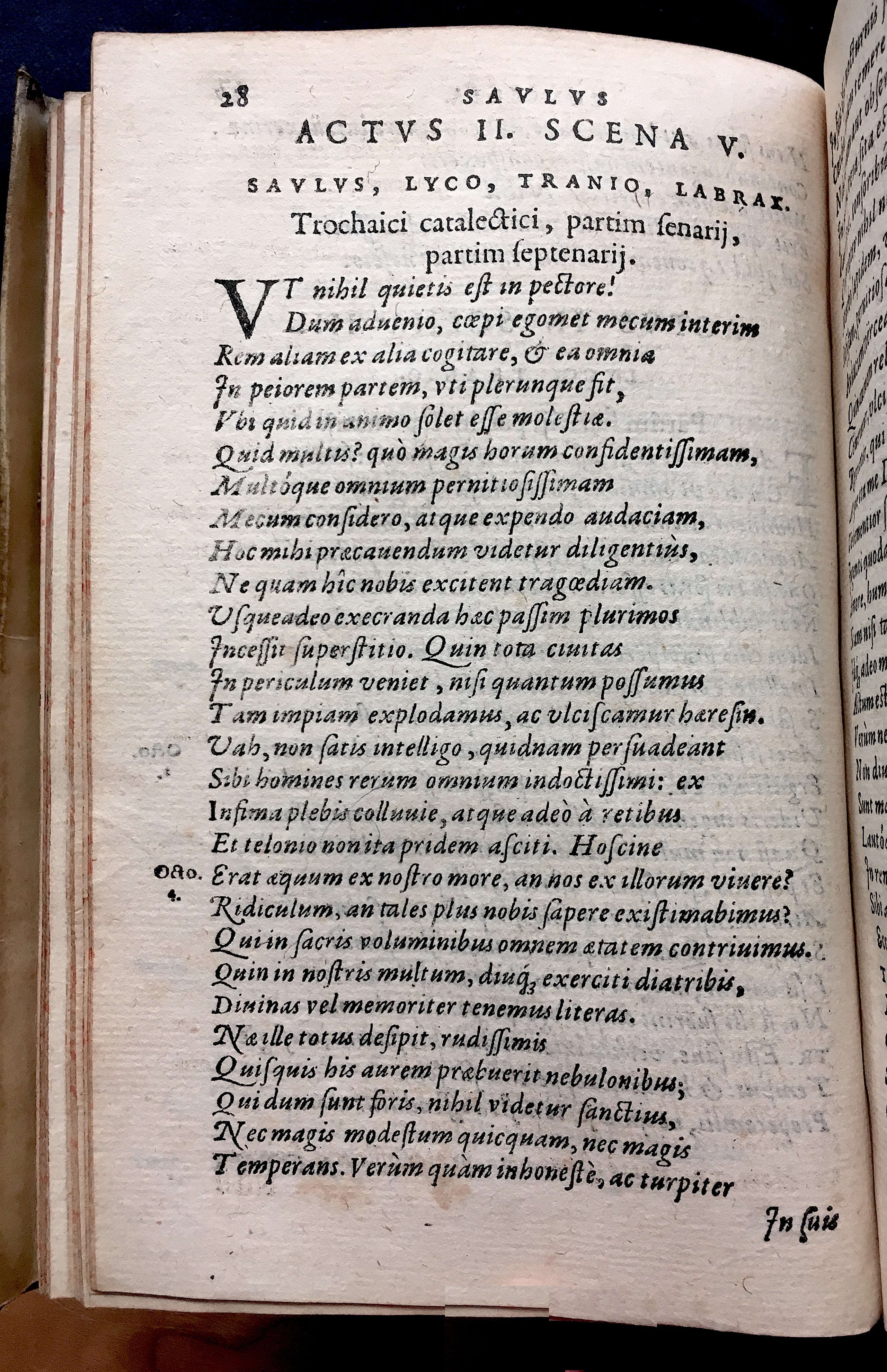 SchonaeusSaulus1581p28.jpg