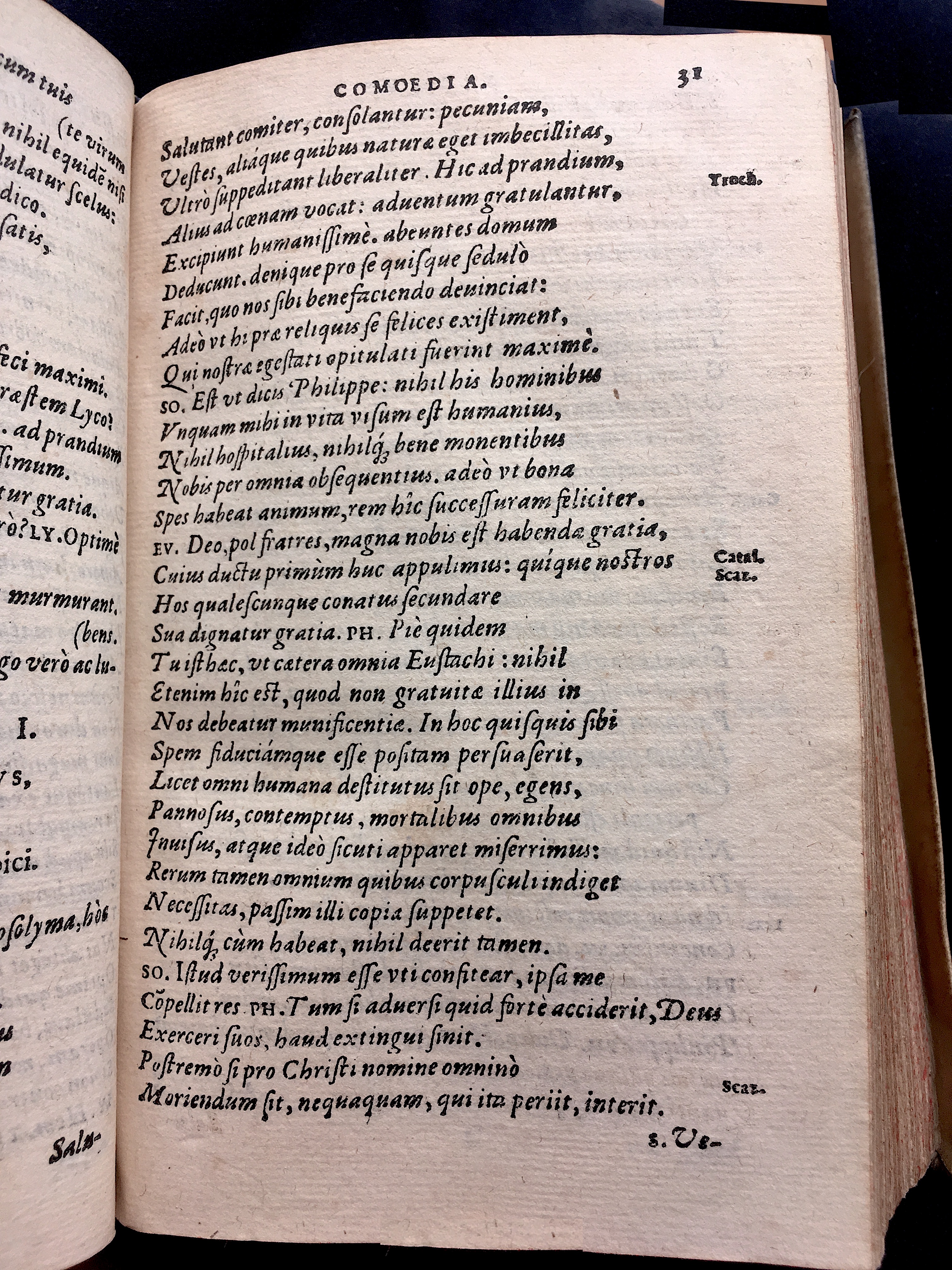 SchonaeusSaulus1581p31.jpg