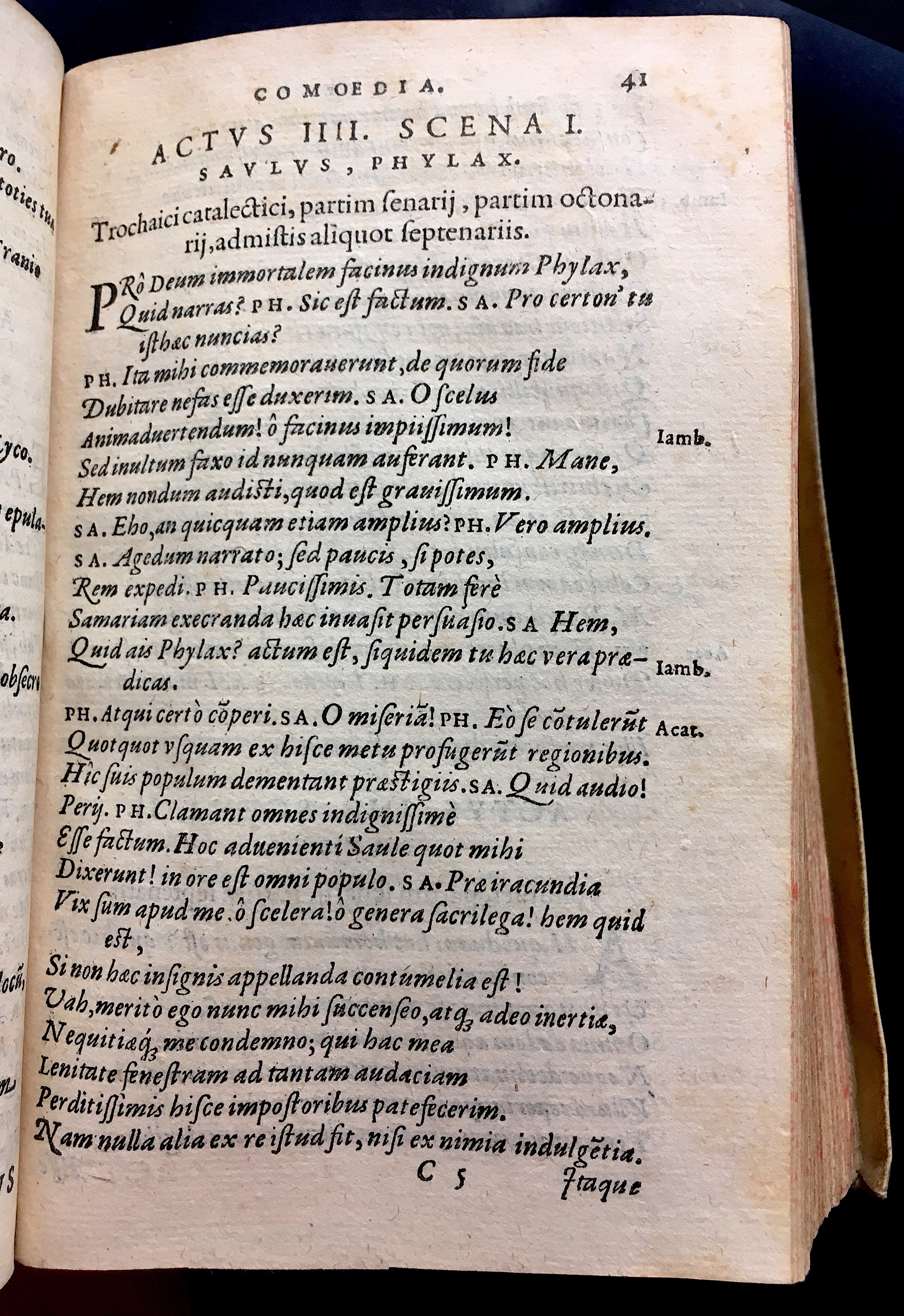 SchonaeusSaulus1581p41.jpg