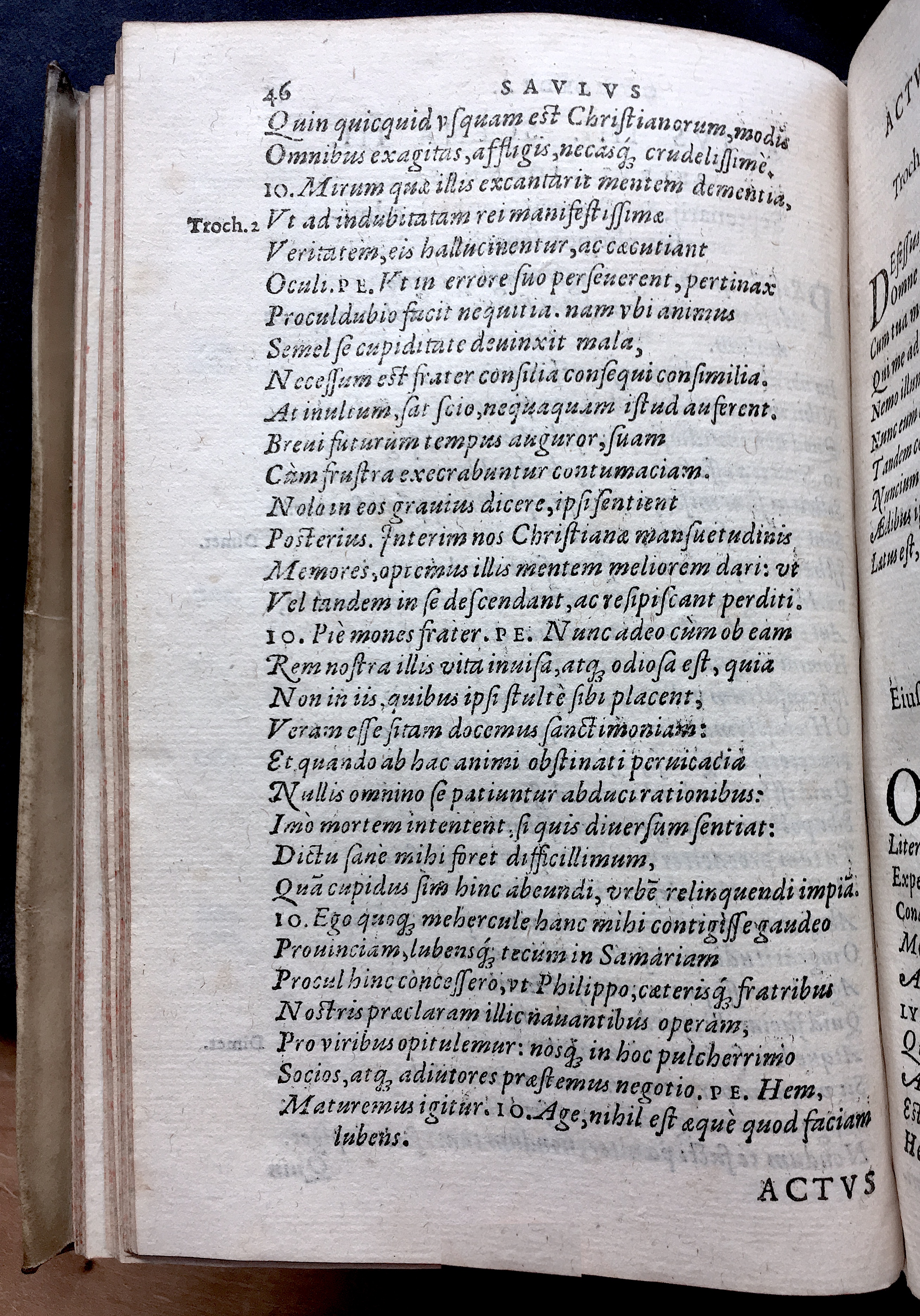 SchonaeusSaulus1581p46.jpg