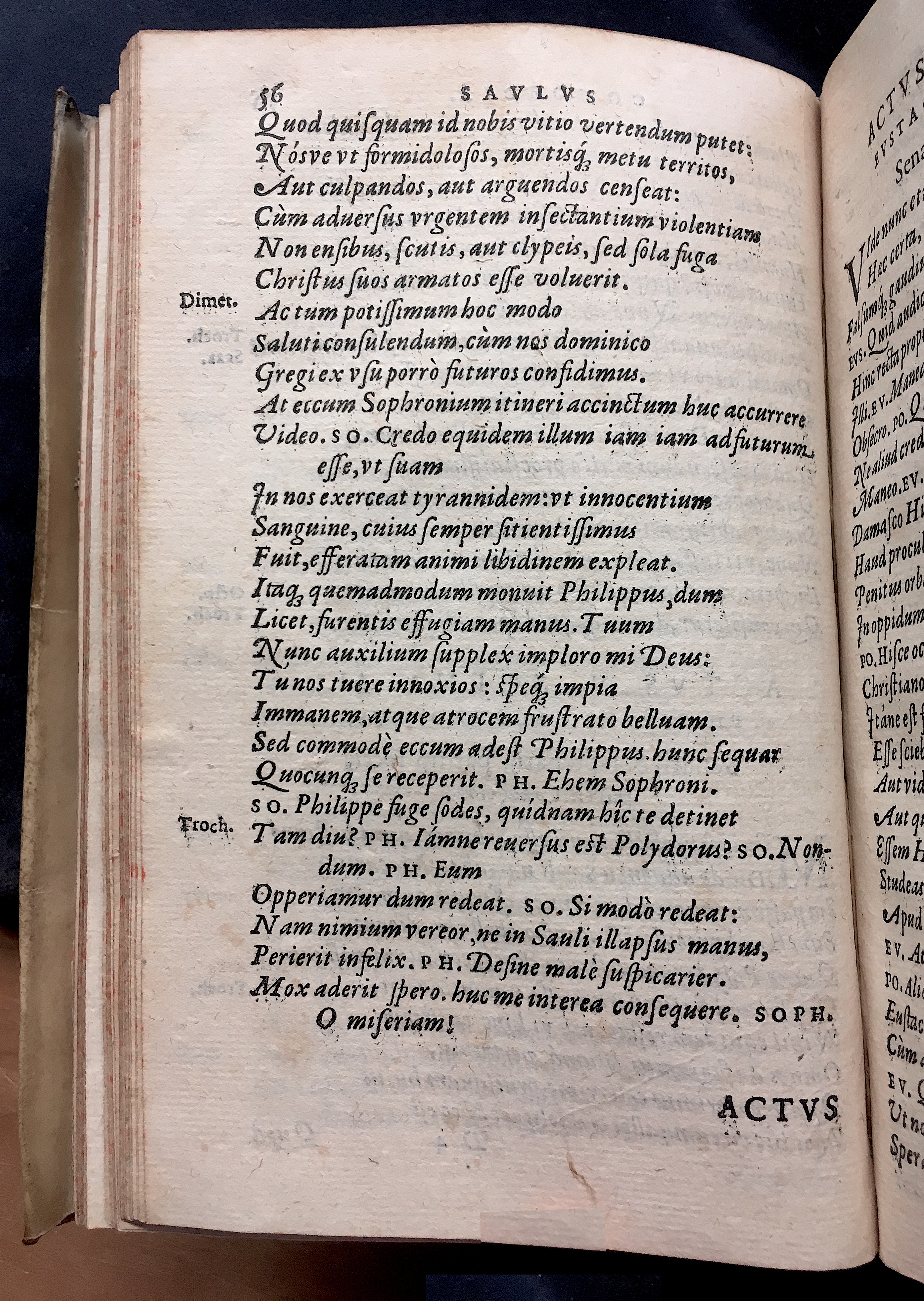 SchonaeusSaulus1581p56.jpg