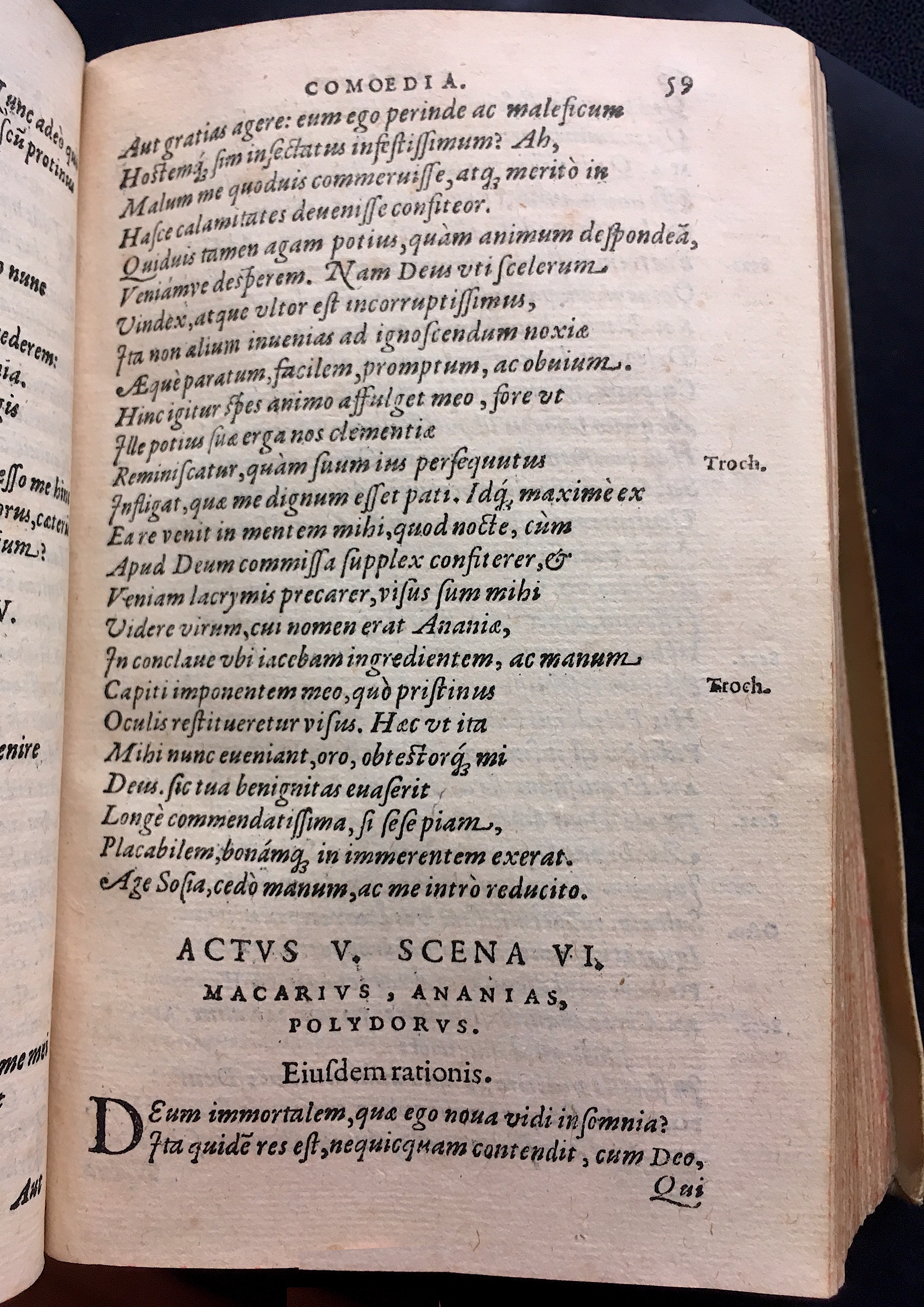 SchonaeusSaulus1581p59.jpg